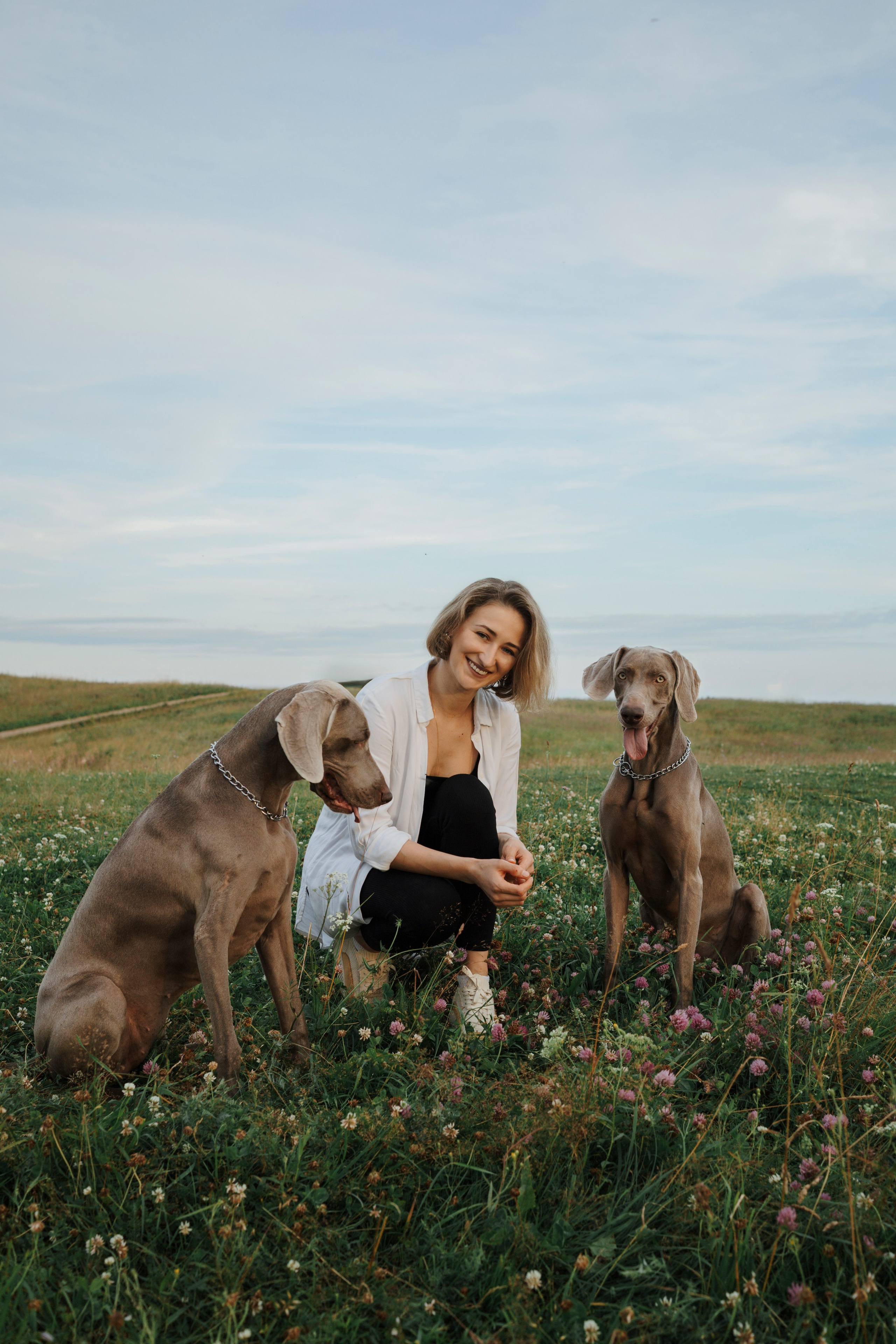 Маргарита и веймаранеры. Фотограф-анималист в Санкт-Петеребурге Титова Алиса