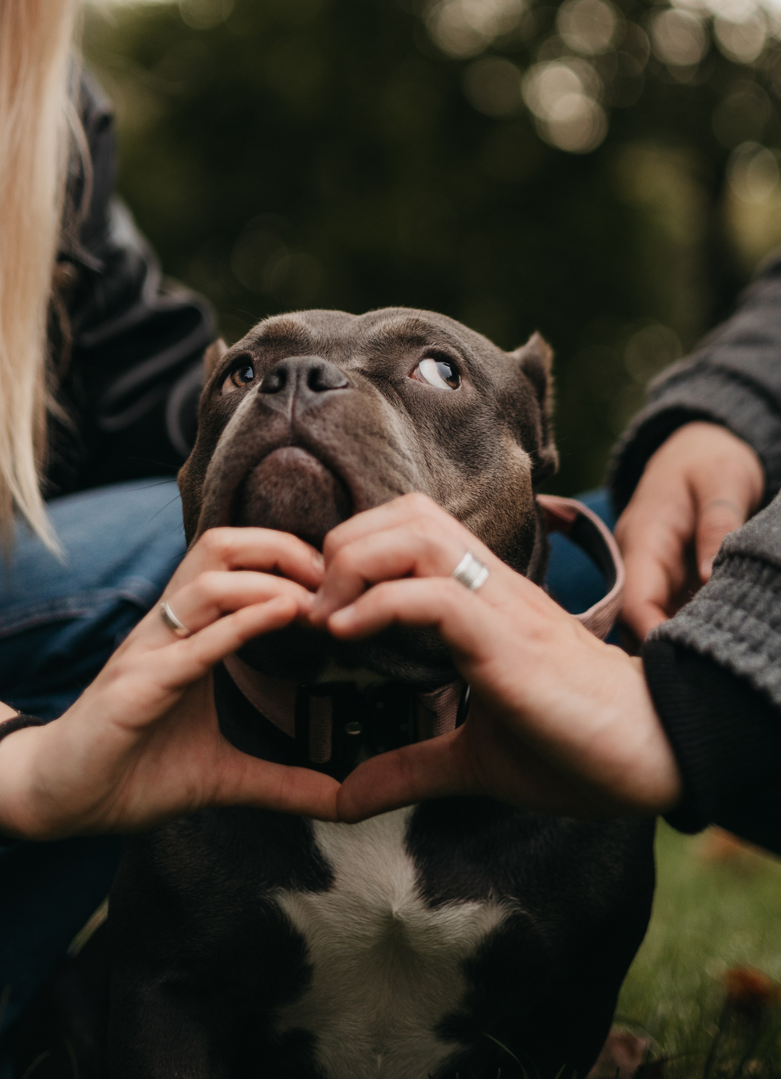 Саша, Руслан и Луна. Фотограф животных Евгения Верцинская