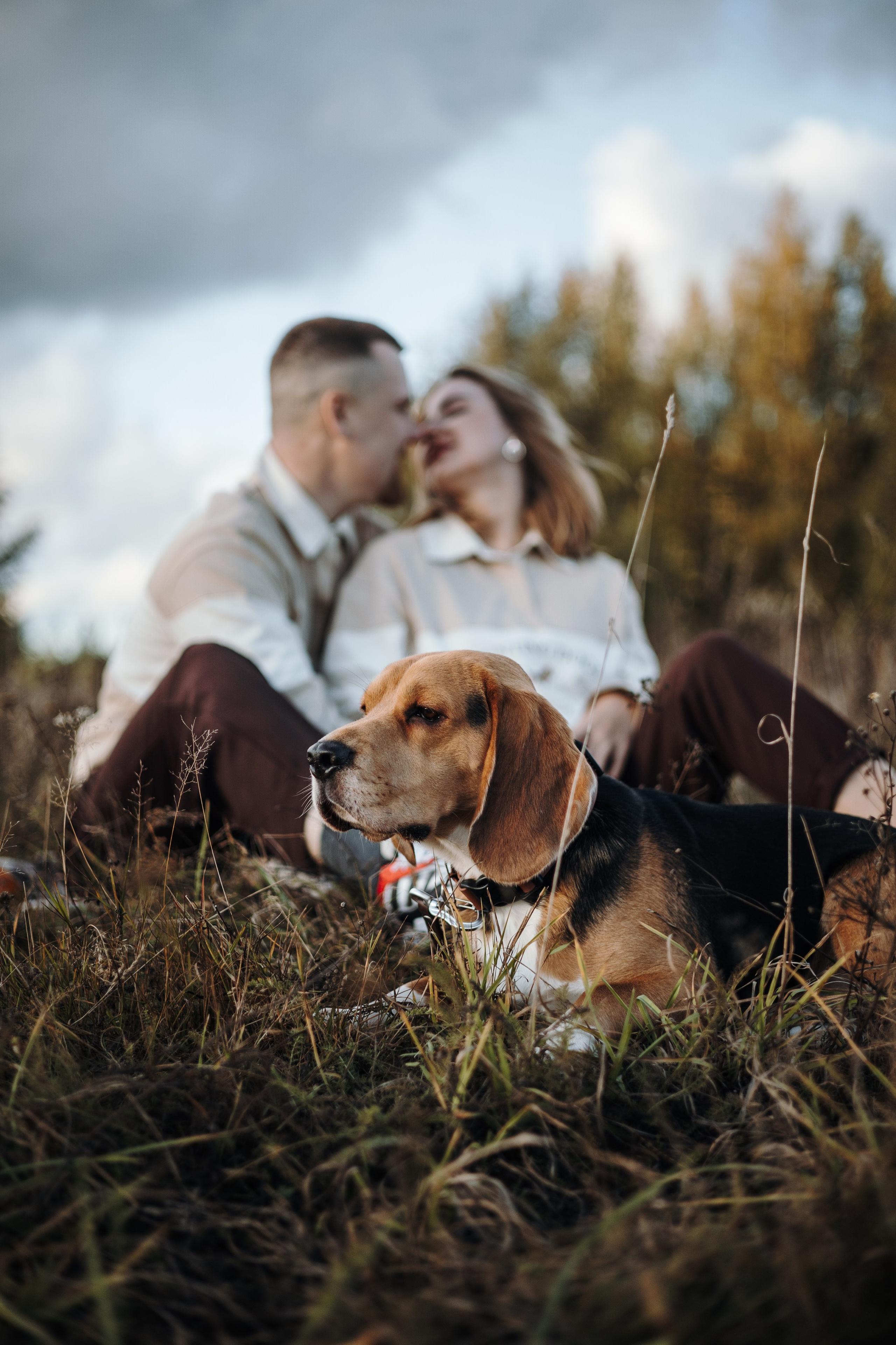 Оуджи и его семья. Фотограф — Анималист | Санкт-Петербург