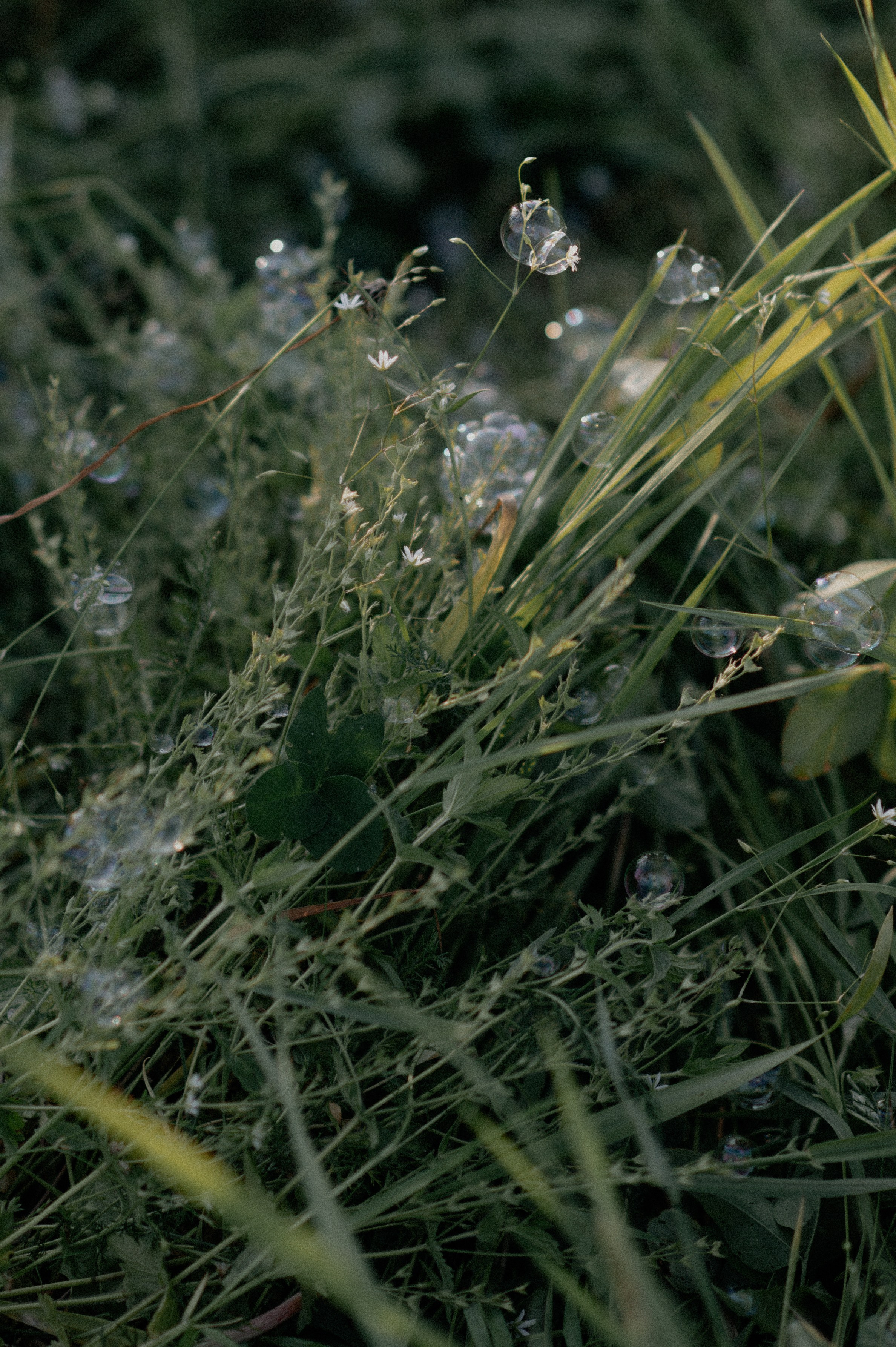 P&L. Свадебный фотограф МОСКВА, КРЫМ, СМОЛЕНСК АЛЯ КОНОВАЛОВА