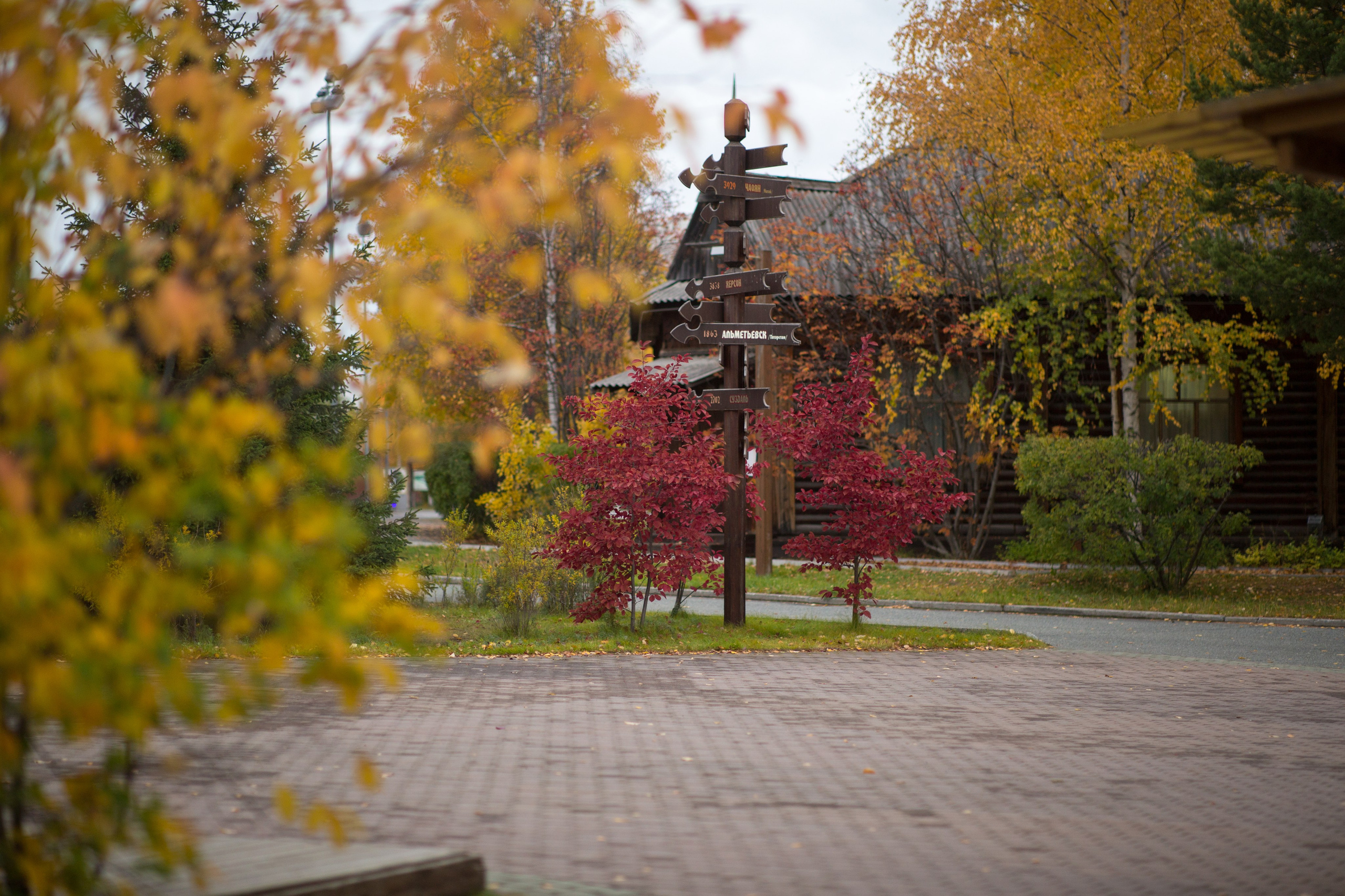 Сургут. Фотограф в г. Сургуте Марина Киприна