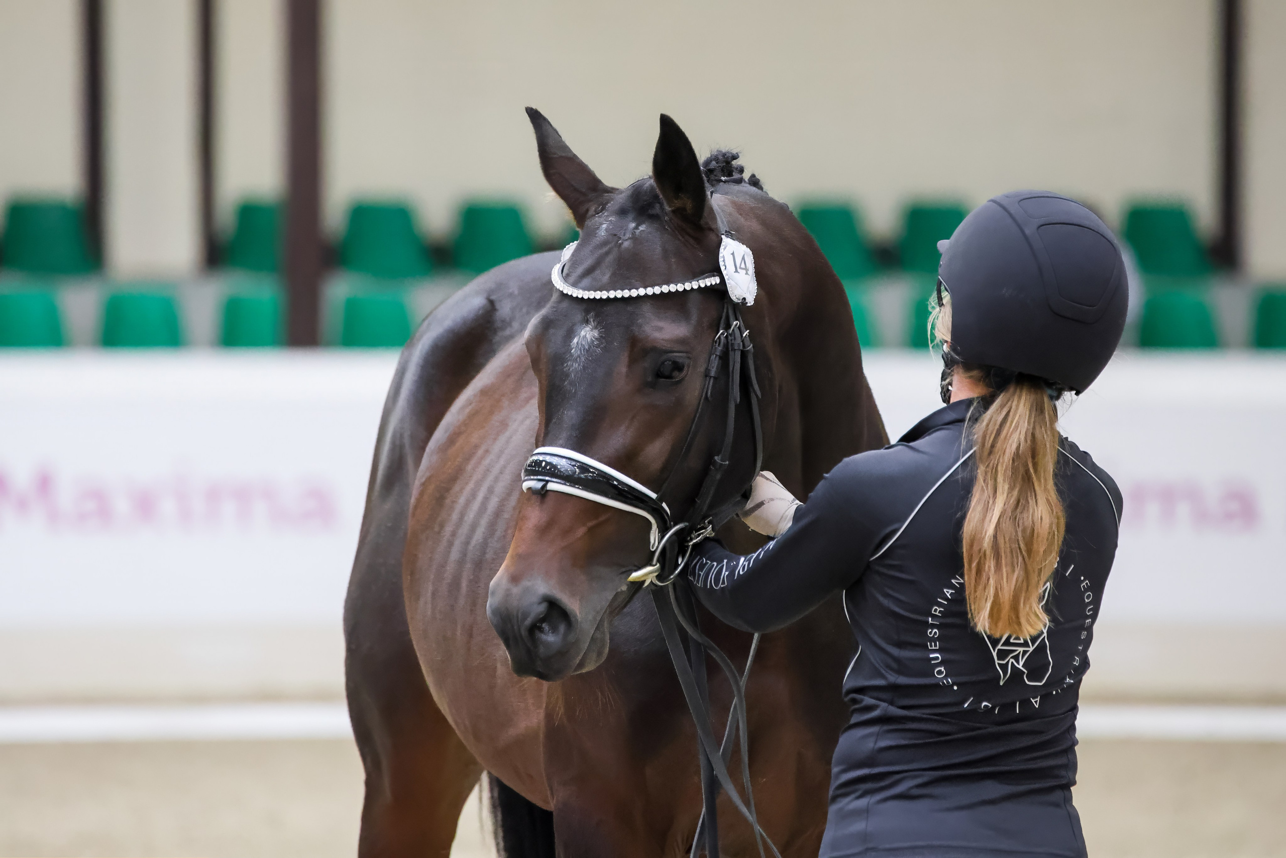 Конная Россия 2024. Irenephoto.ru