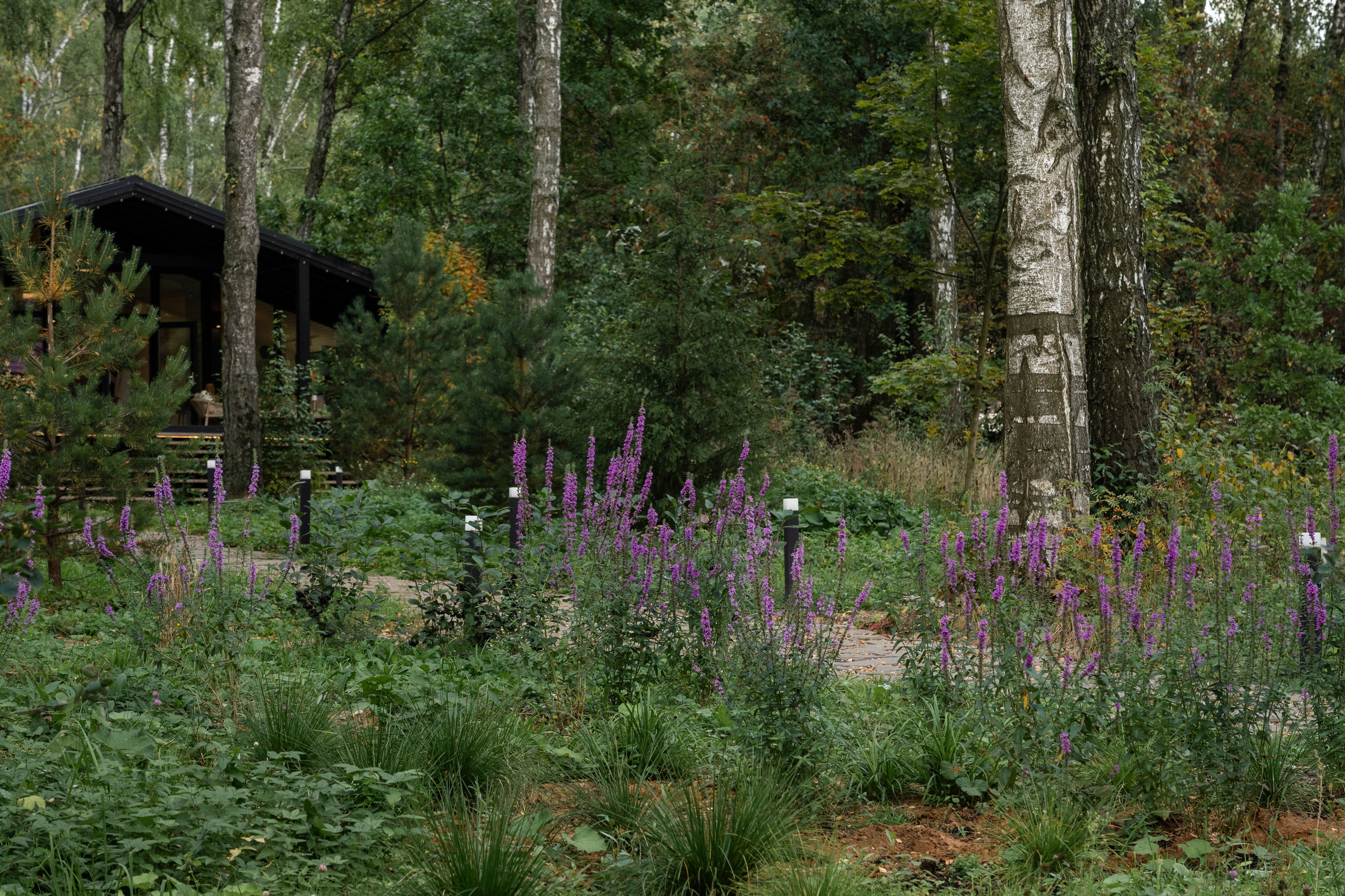 DublDom. Артамонов Александр | Архитектурный и ландшафтный фотограф