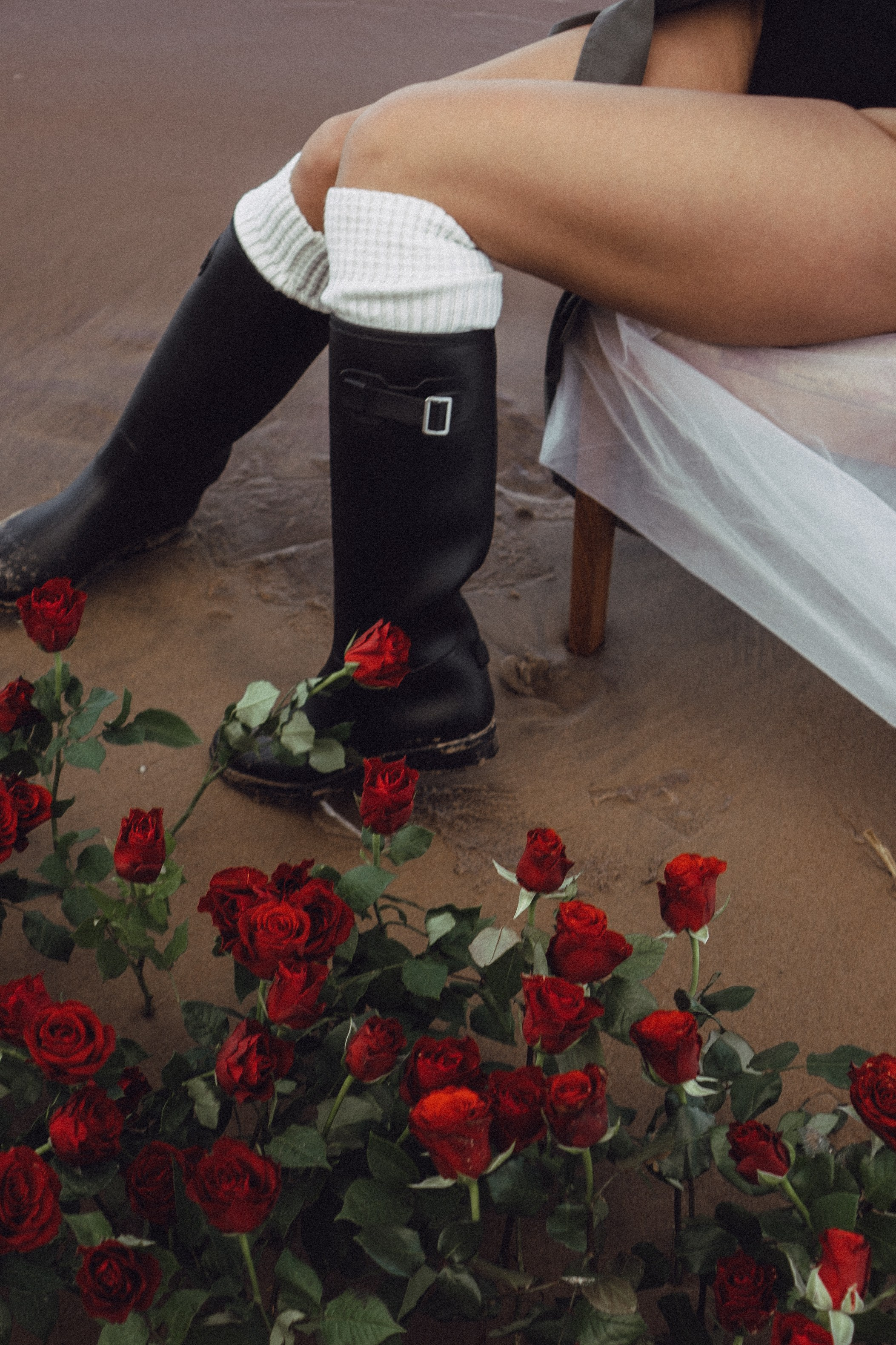 Розы. Профессиональный фотограф, Санкт-Петербург — Виктория Богомолова