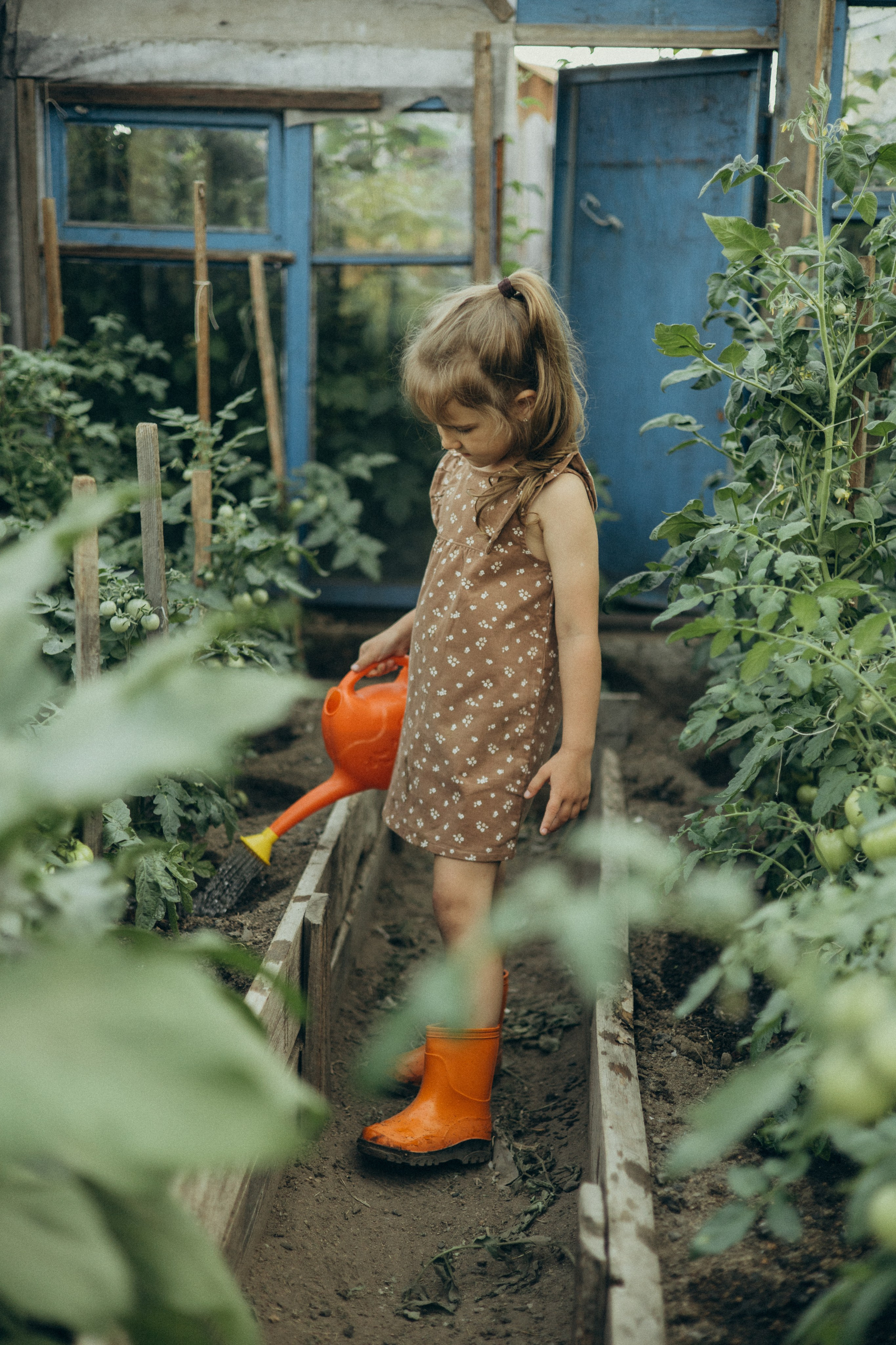 Хорошо в деревне летом…♡. Фотограф в г. Чита