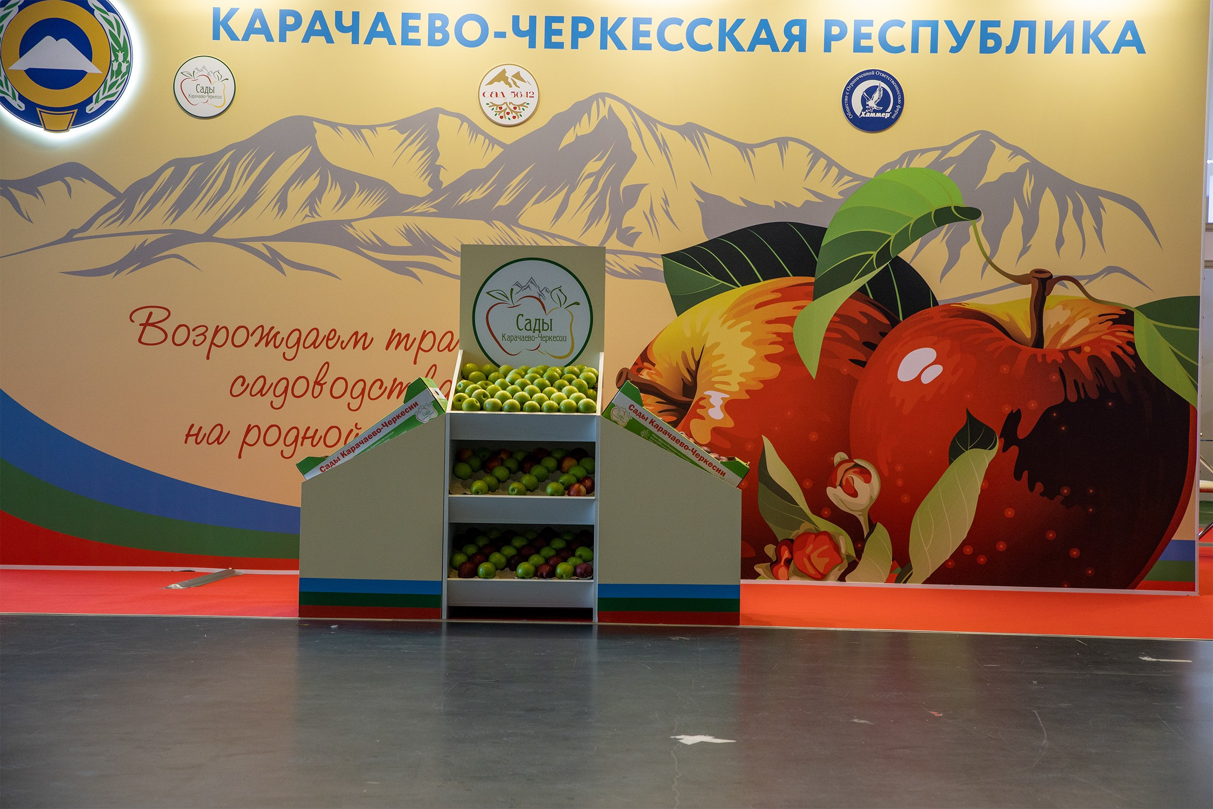 Репортажная съёмка. Медиапродюсер, фотограф в Минеральных Водах —Виктор Холодов