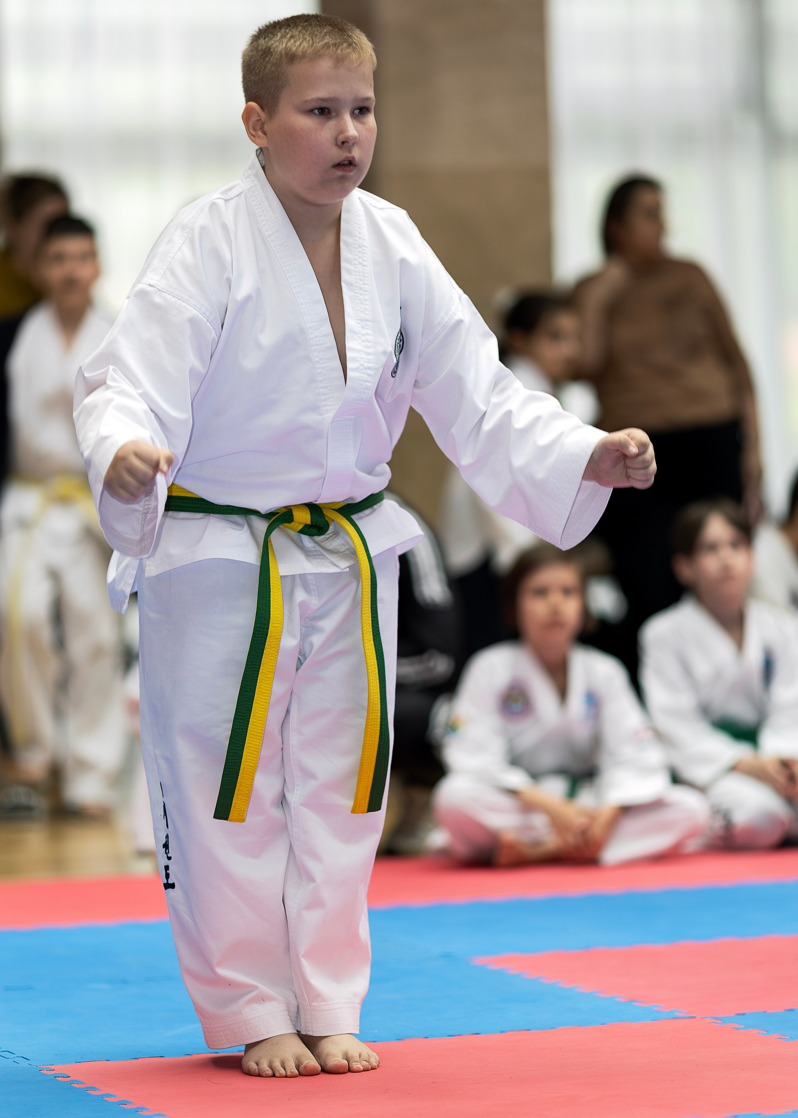 Фото турнира по Тхеквондо, проводимого в г. Железноводске. Медиапродюсер, фотограф в Минеральных Водах —Виктор Холодов