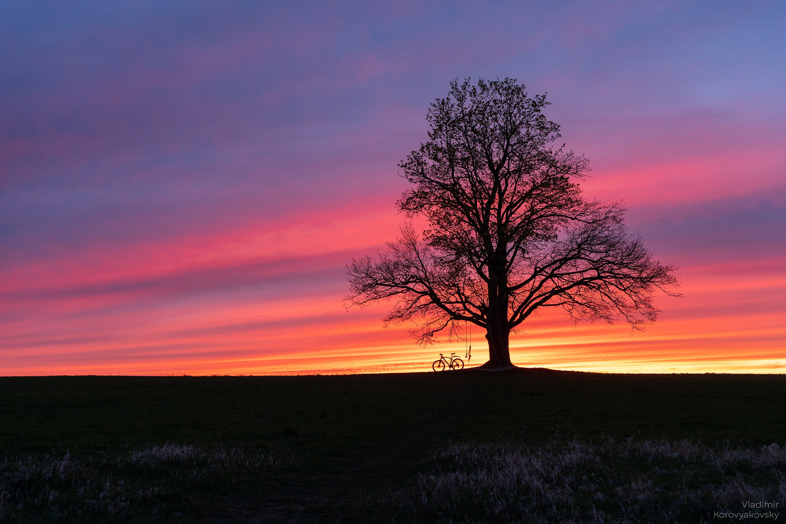 Nature. Photographer Vladimir Korovyakovsky