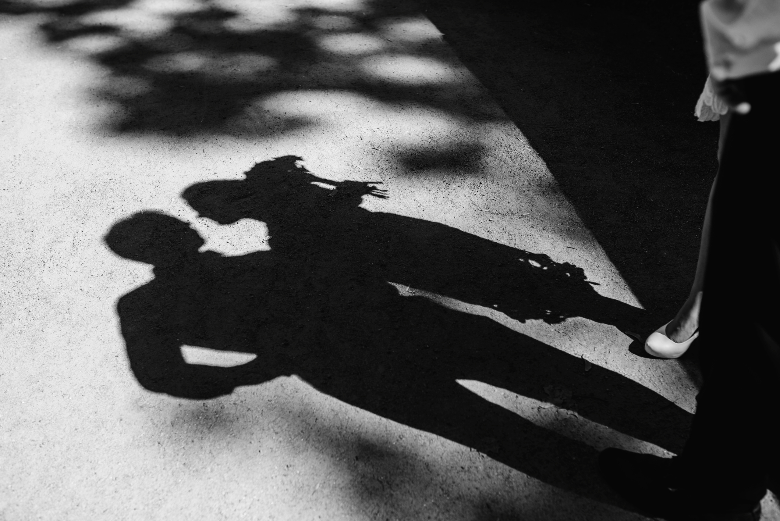 Пушкин. Семейный и детский фотограф в Санкт-Петербурге Анна Бубнова