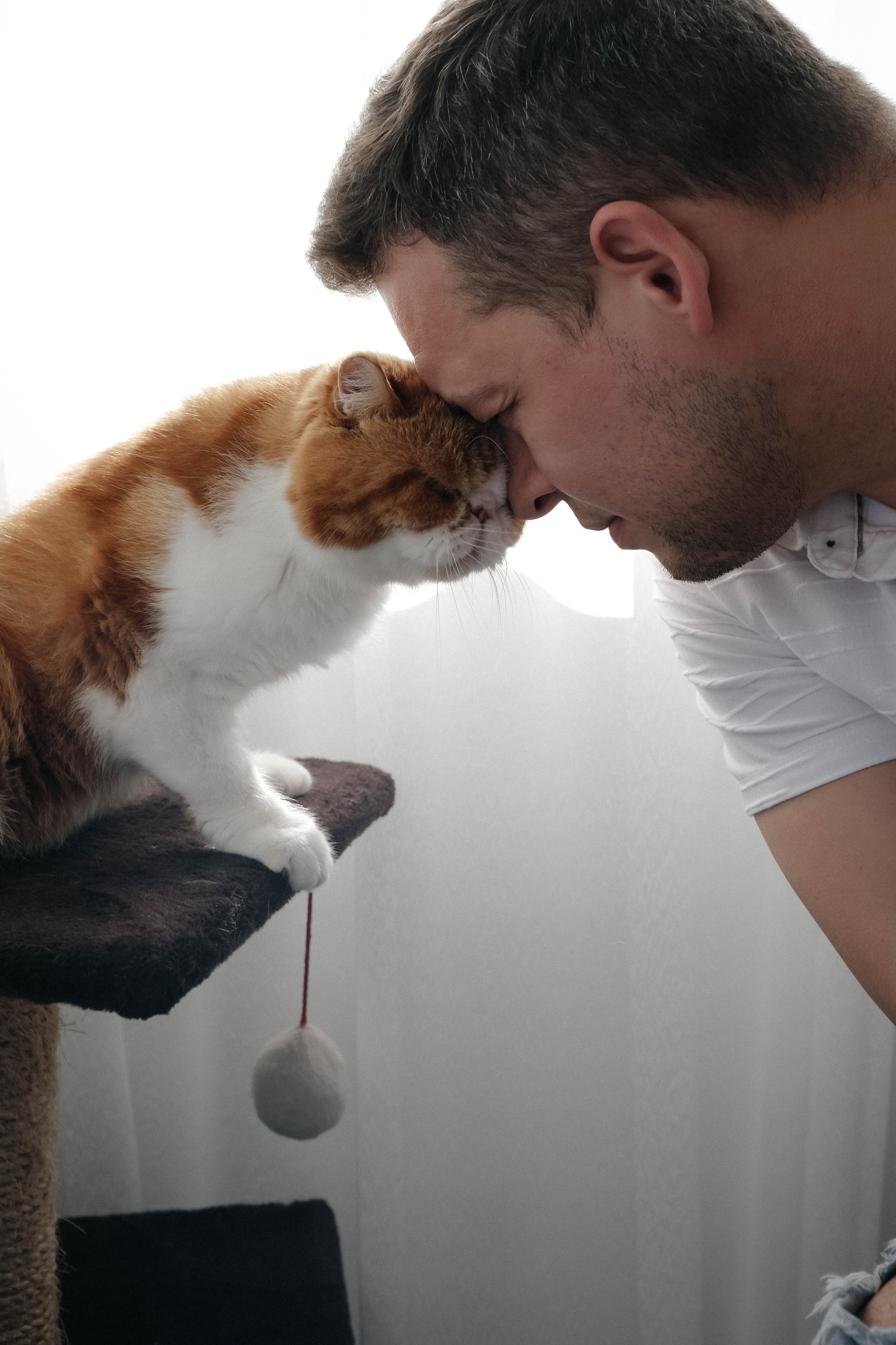 Домашняя съемка семьи Пекай. Главная