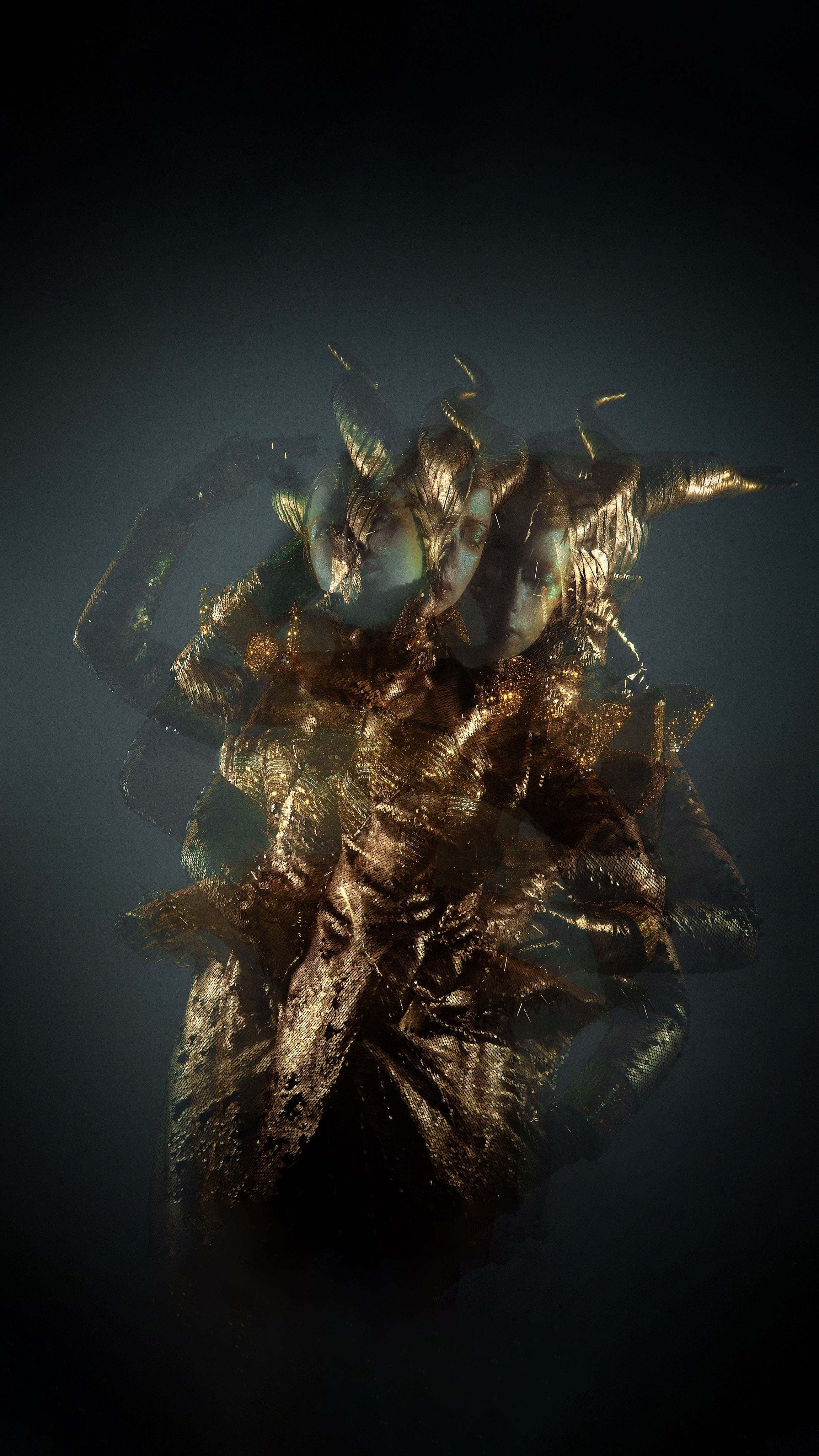 Роза. Фотограф Кристина Холмская Москва