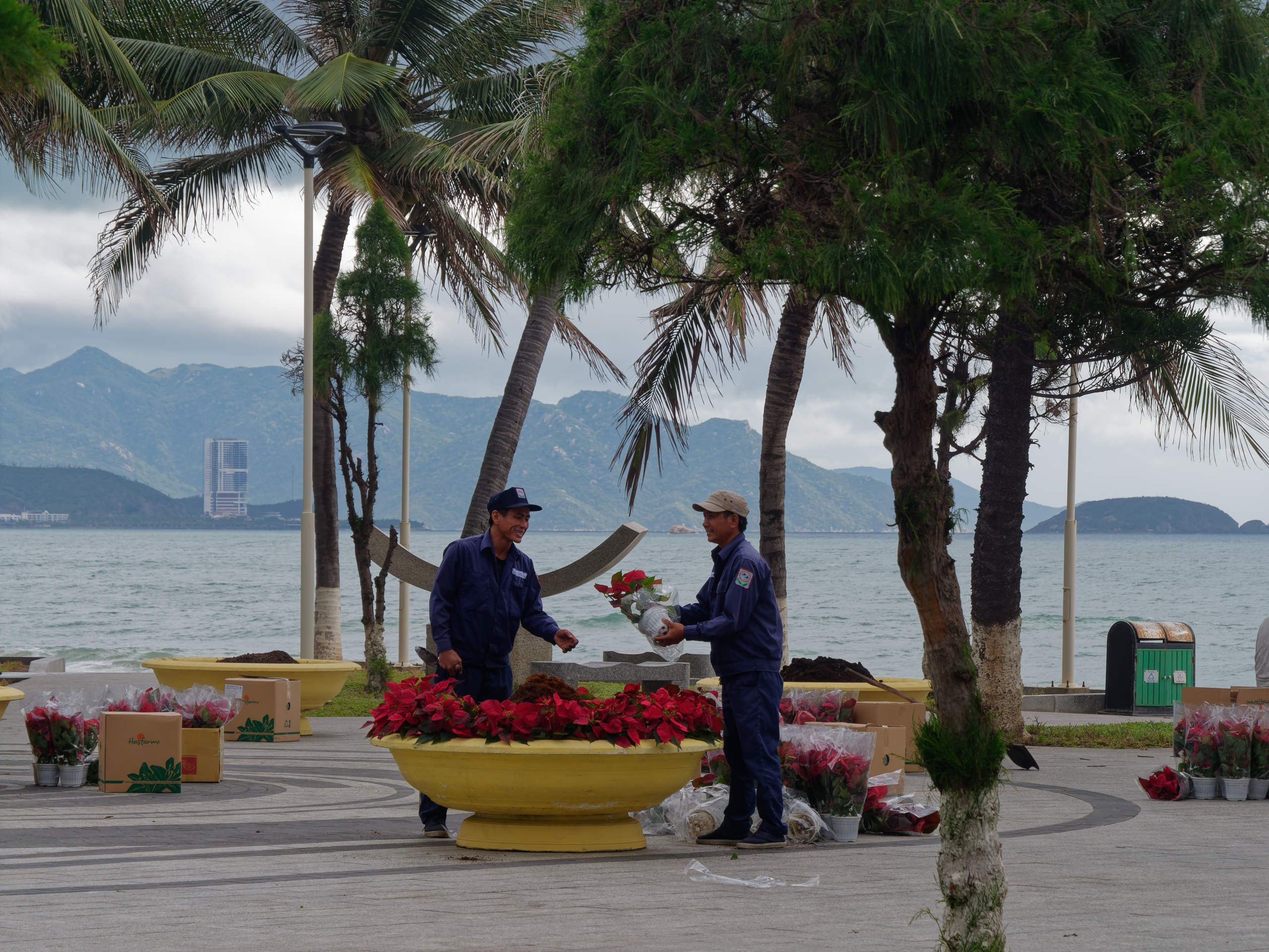 Нячанг 2025 (4). Избранные фотографии