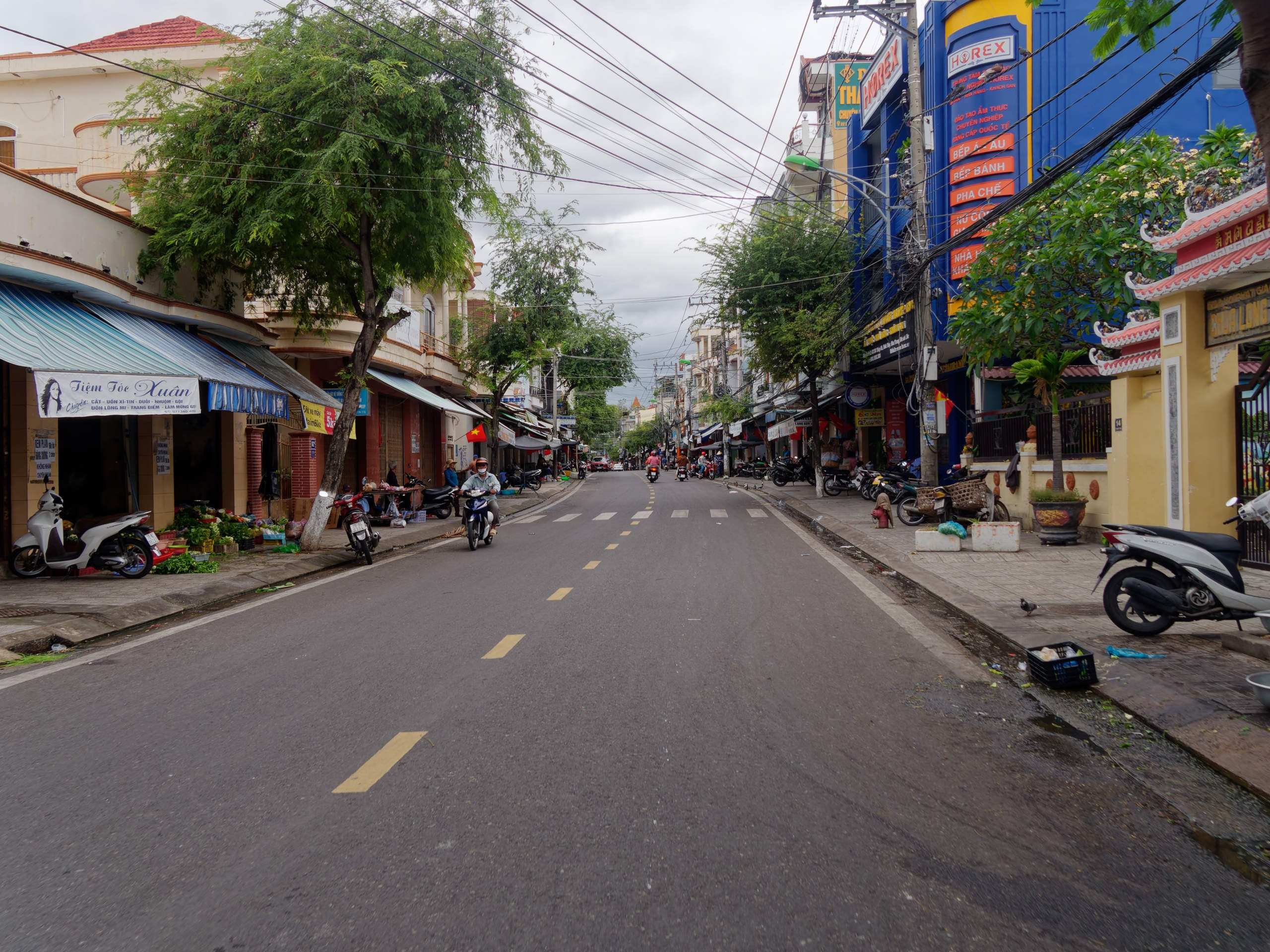 Нячанг 2025 (4). Избранные фотографии