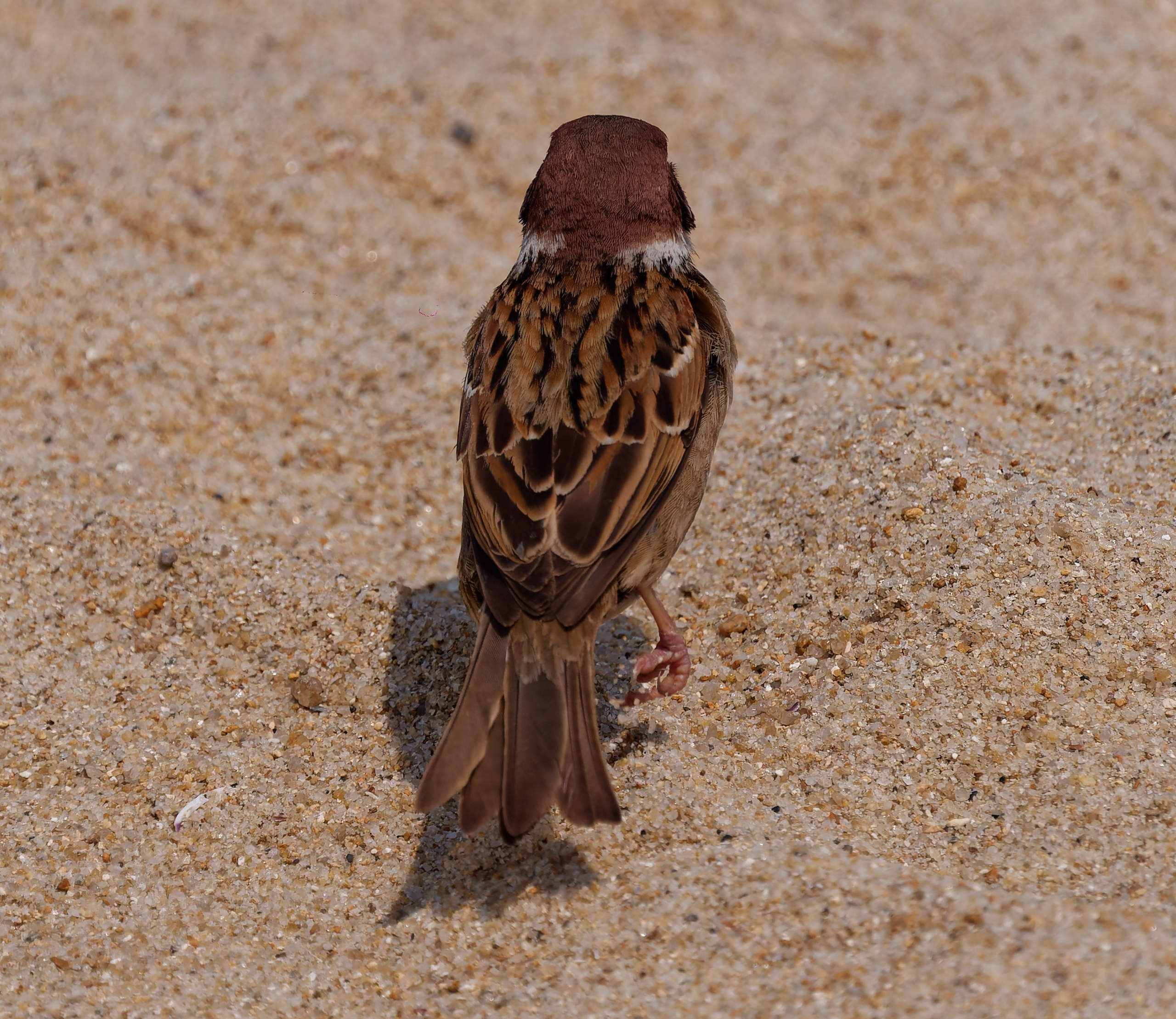 Нячанг 2025 (8). Избранные фотографии