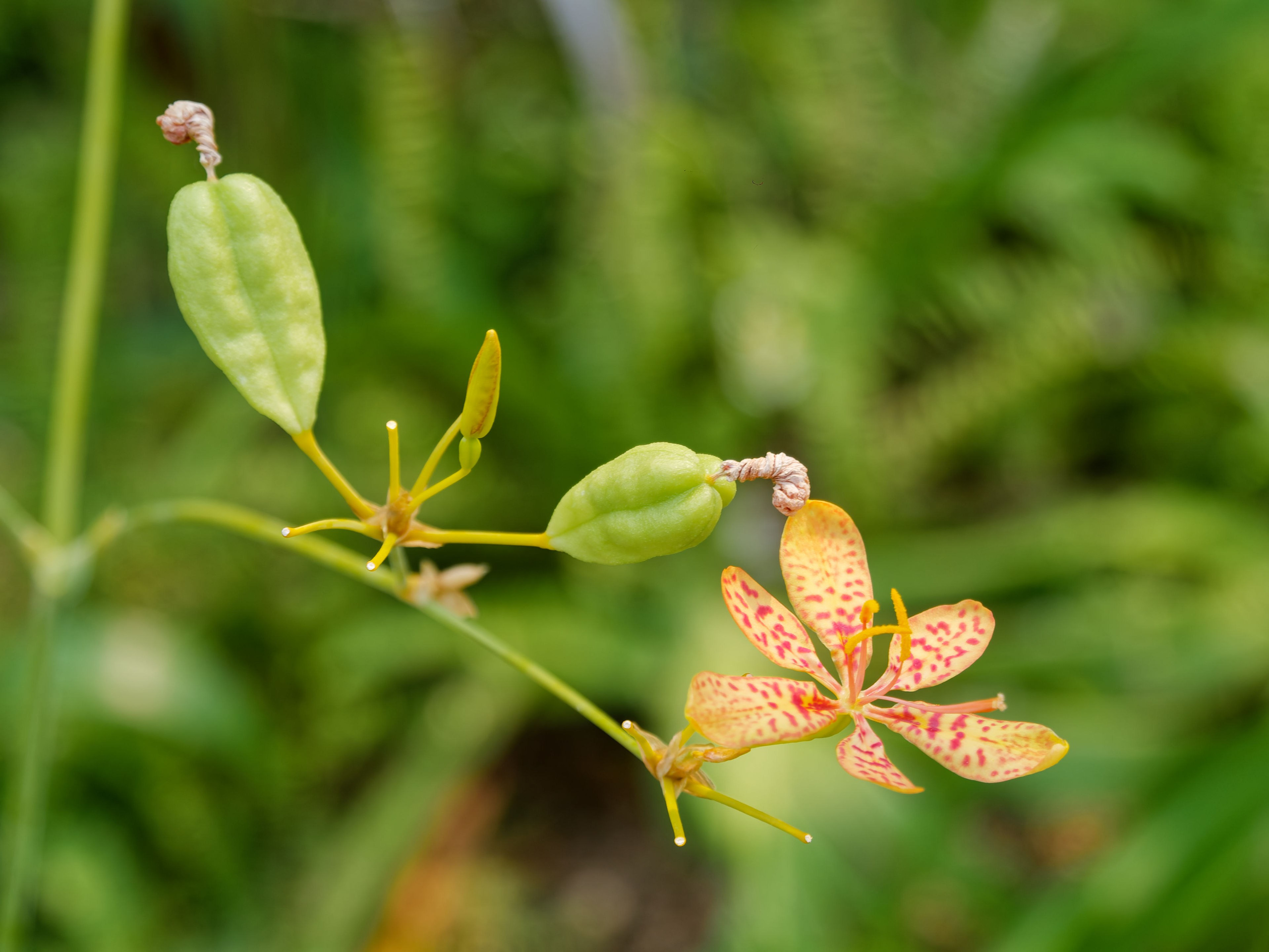 Хайнань 2026, первые впечатления. Фотопрогулки по Миру