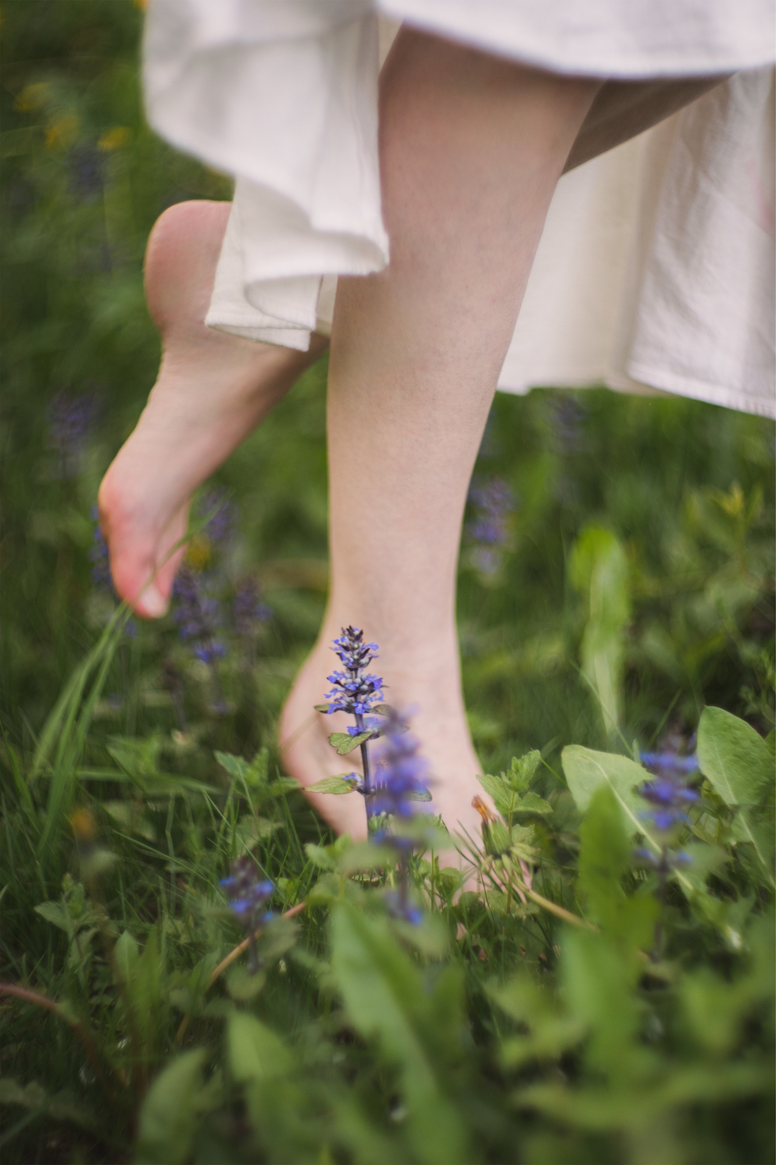 Пикник в розовых яблонях. Юлия Башкатова, сказочный фотограф, Москва