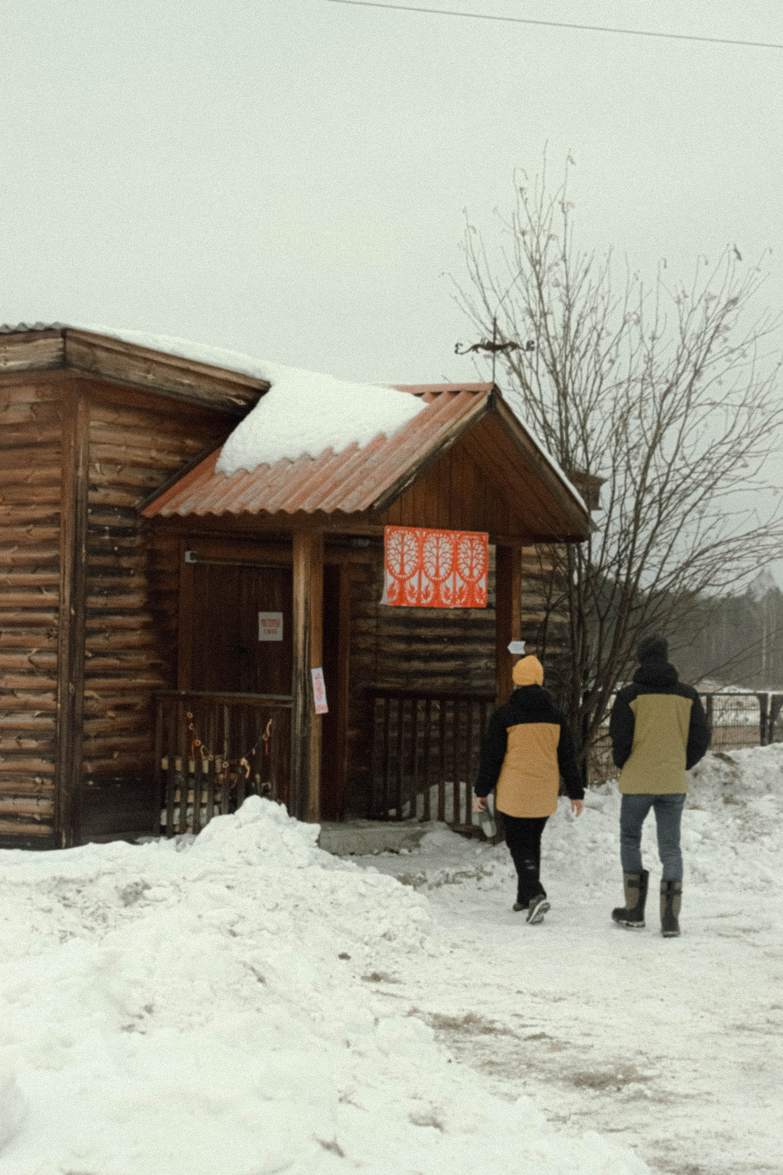 Мероприятия. Соня Мнема