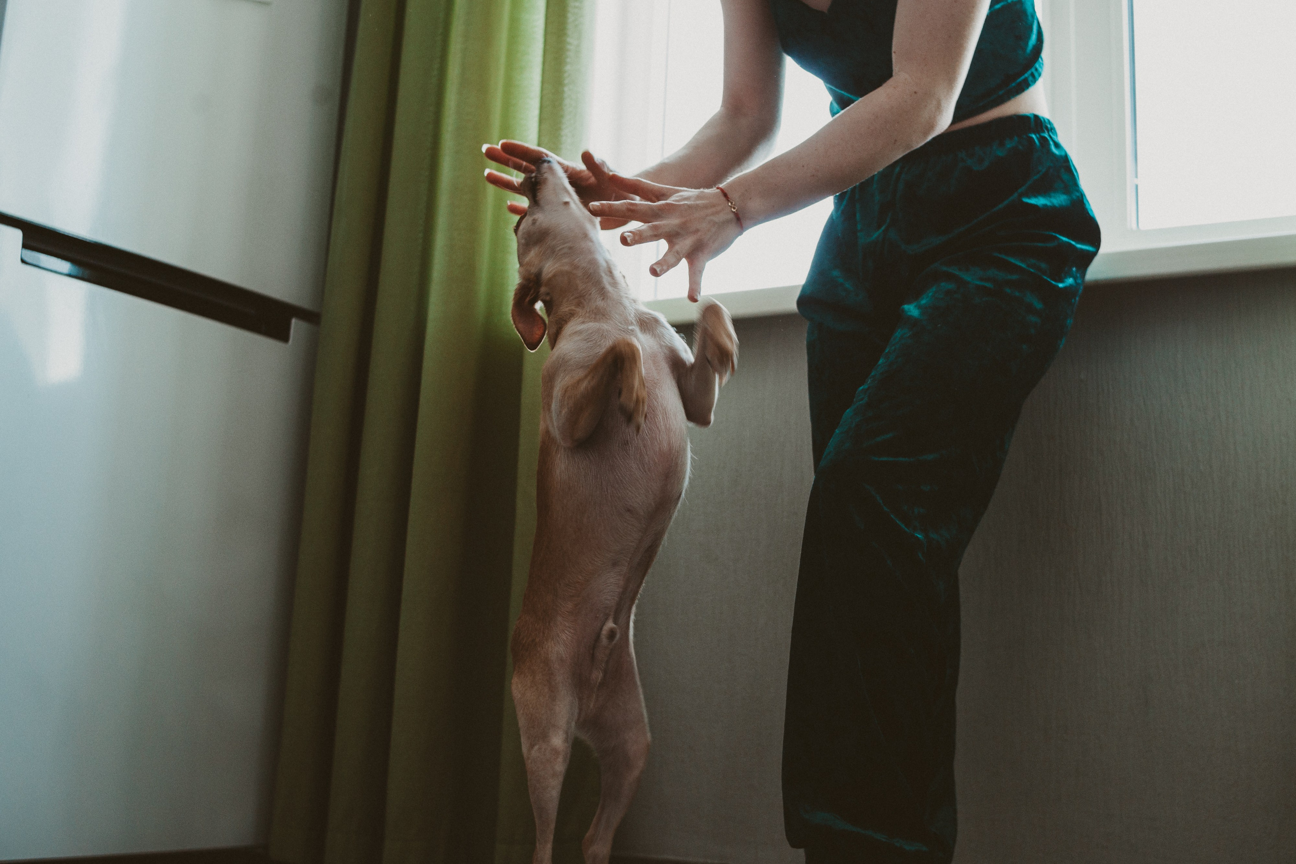 🤍. Екатерина Королева. Фотограф. Хабаровск