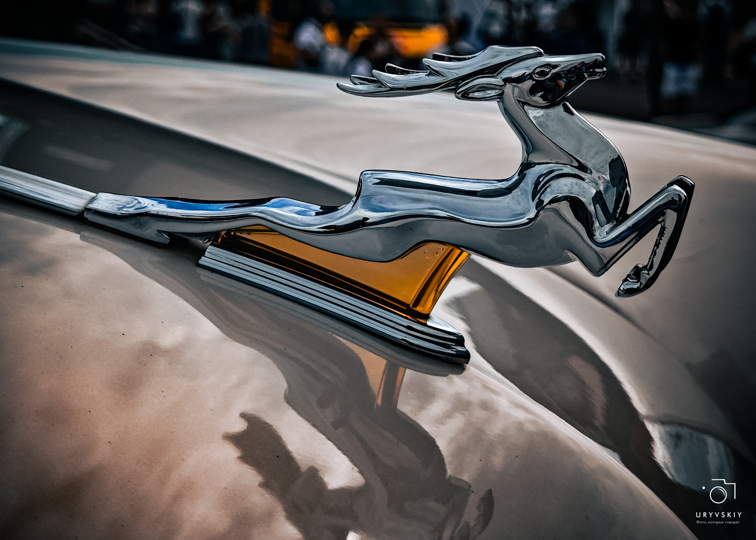 ISKRA 2025 Красноярск. Игорь Урывский. Фотограф Красноярск