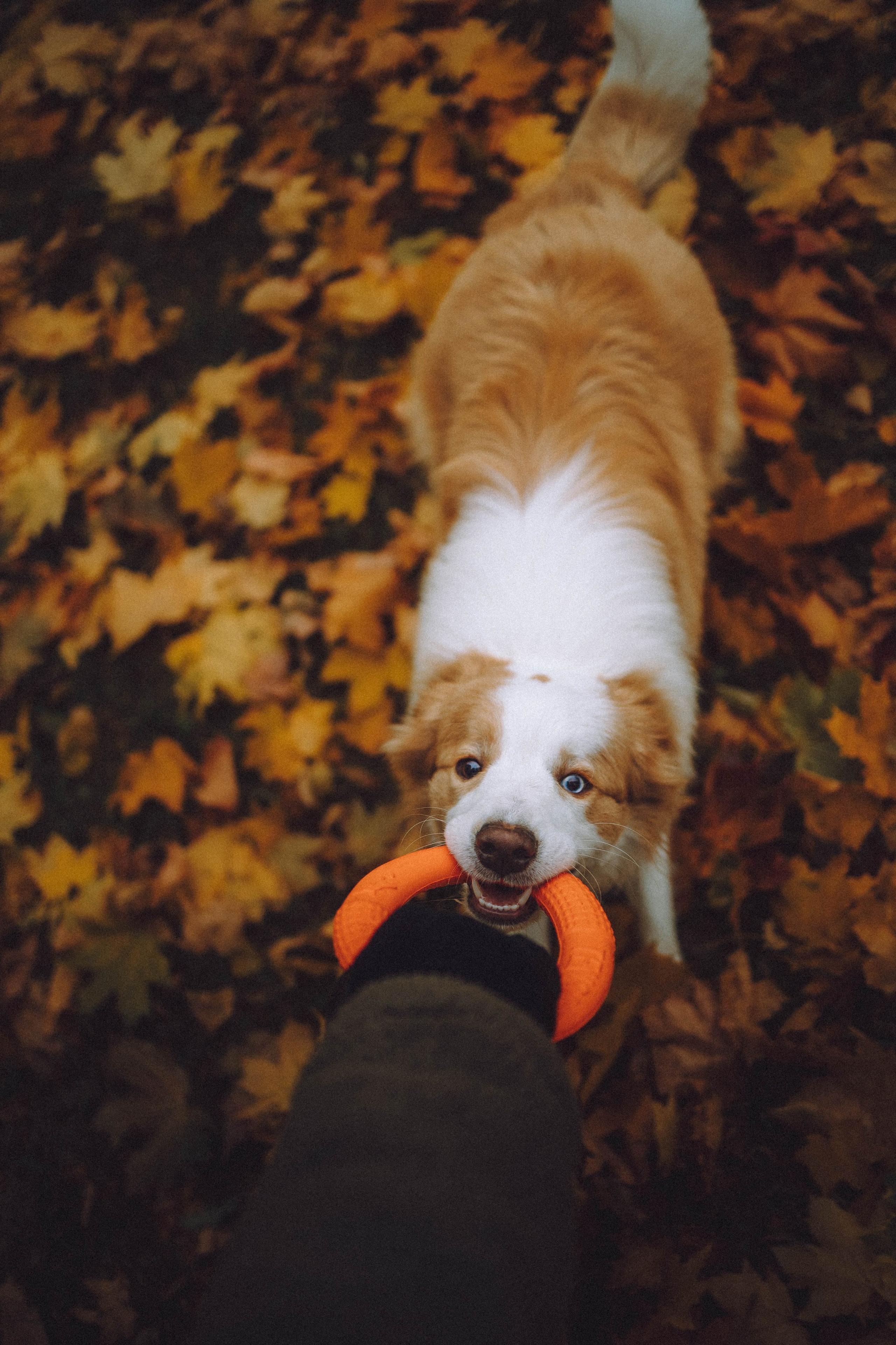 Алина, Витя и Асти