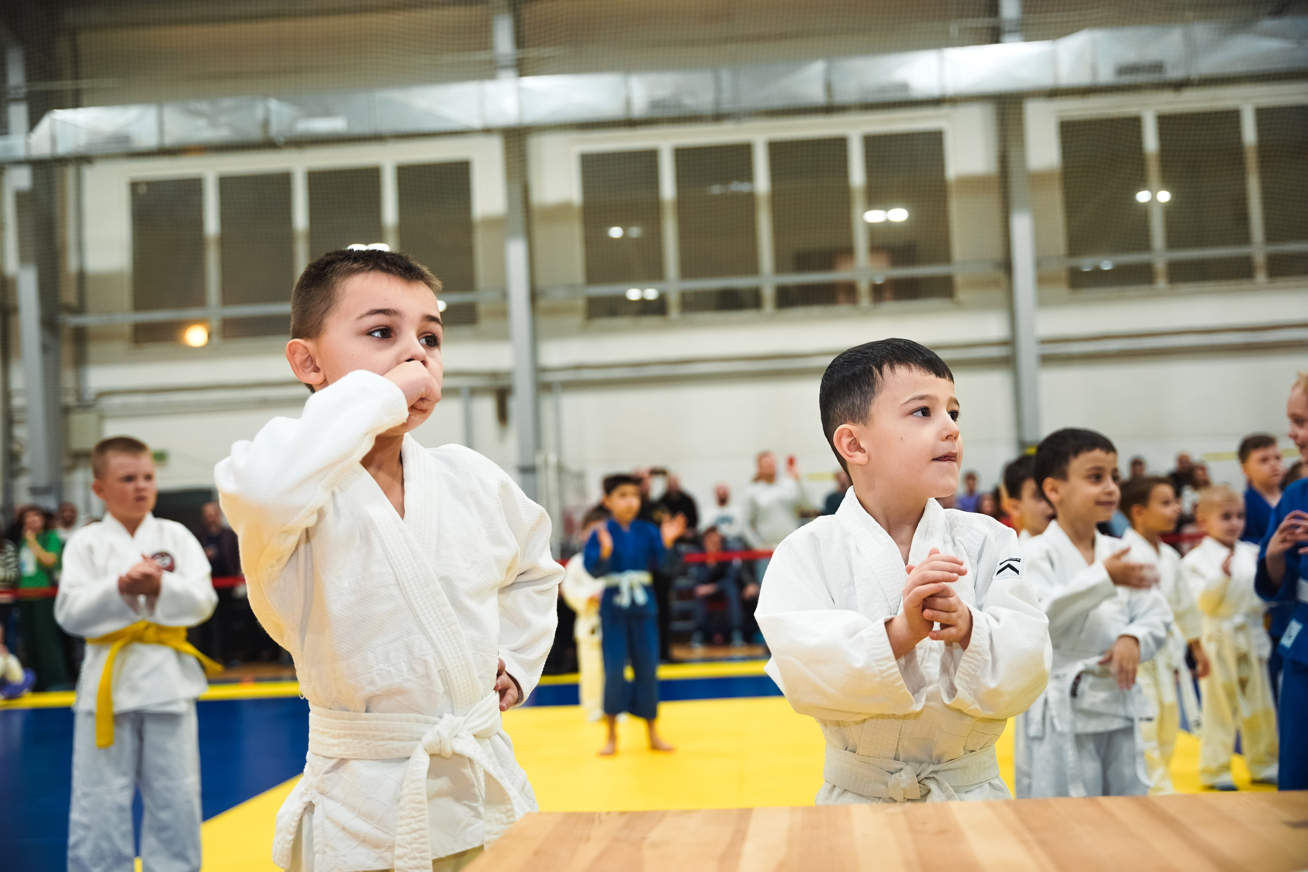 Самбо. Портретный и репортажный фотограф