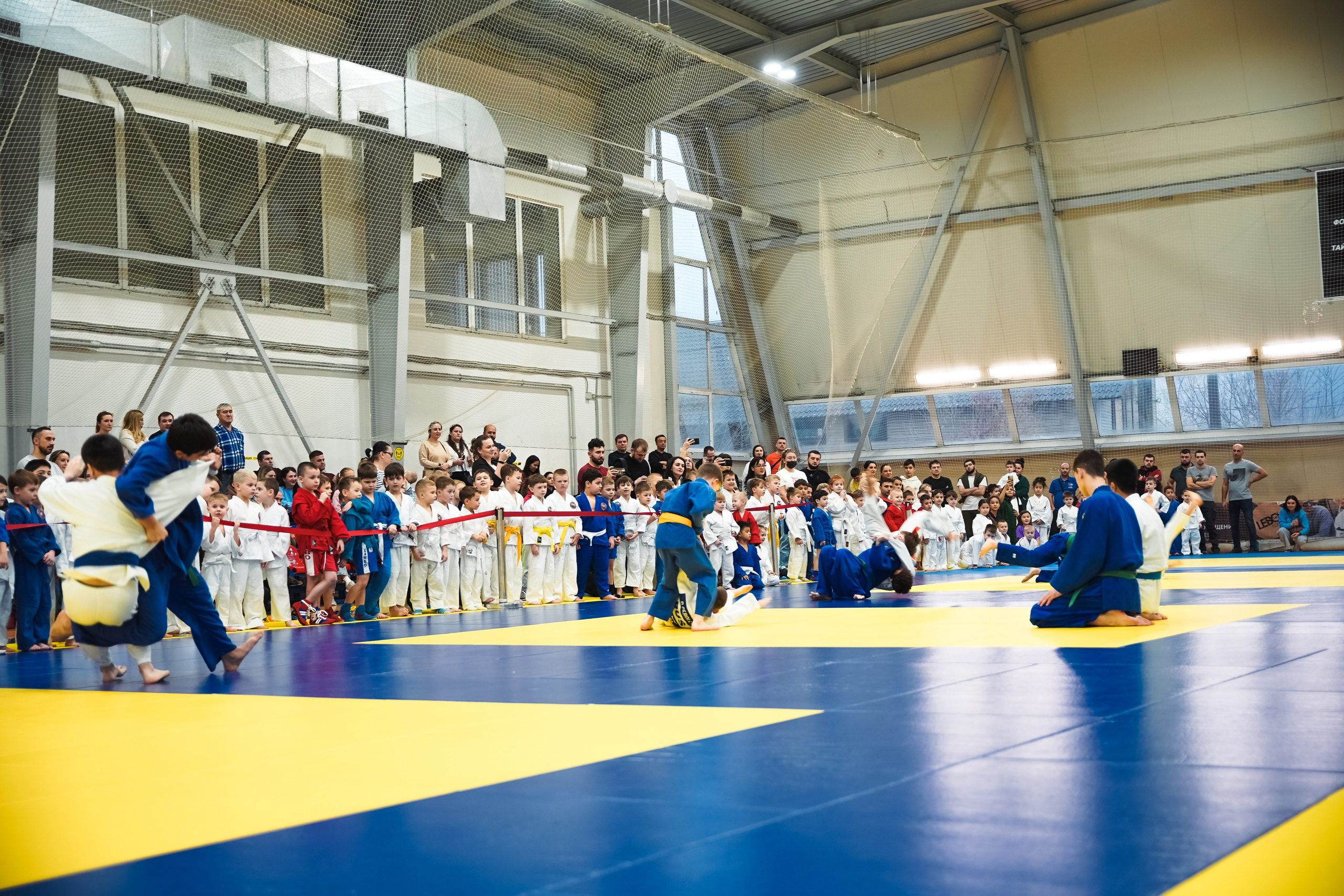 Самбо. Портретный и репортажный фотограф