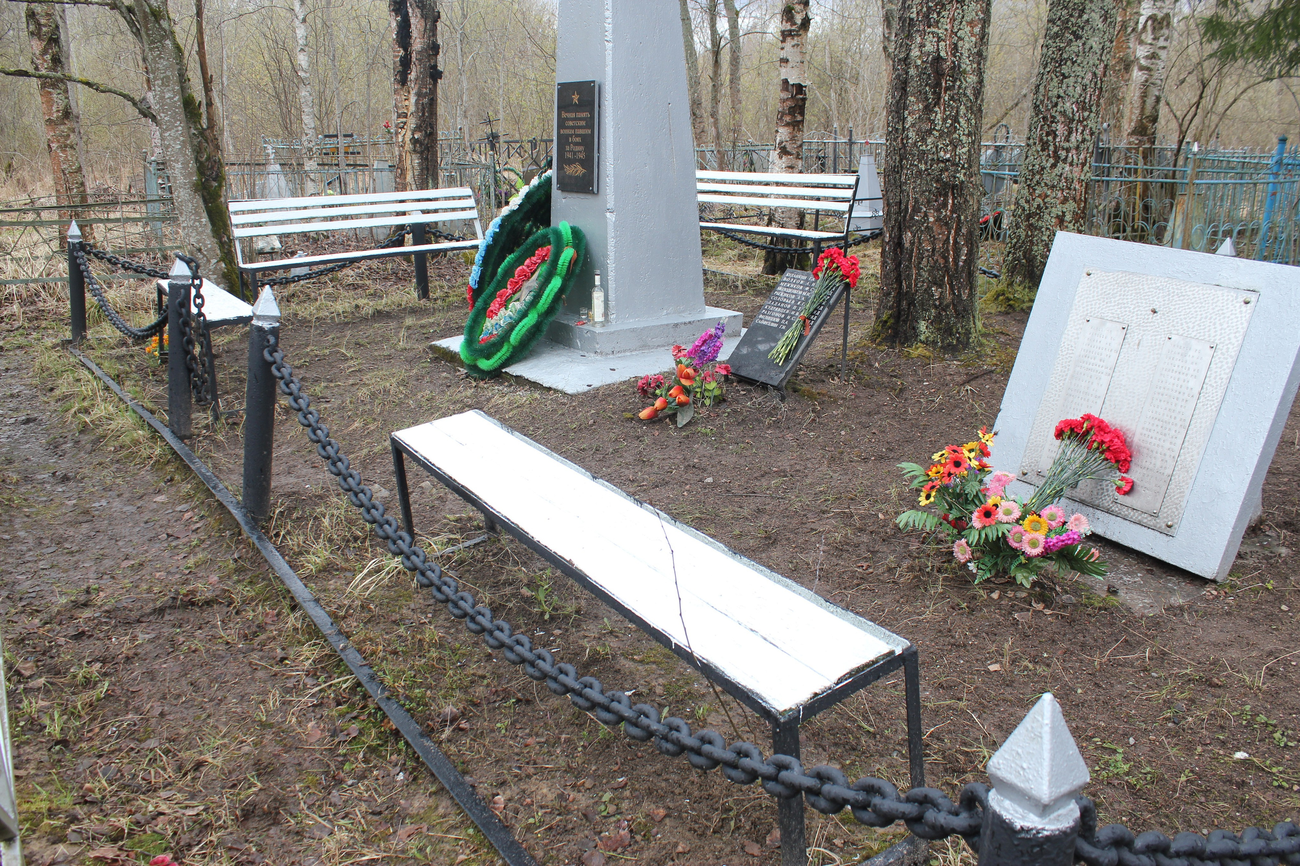 Общий вид захоронения. История Назиевского городского поселения