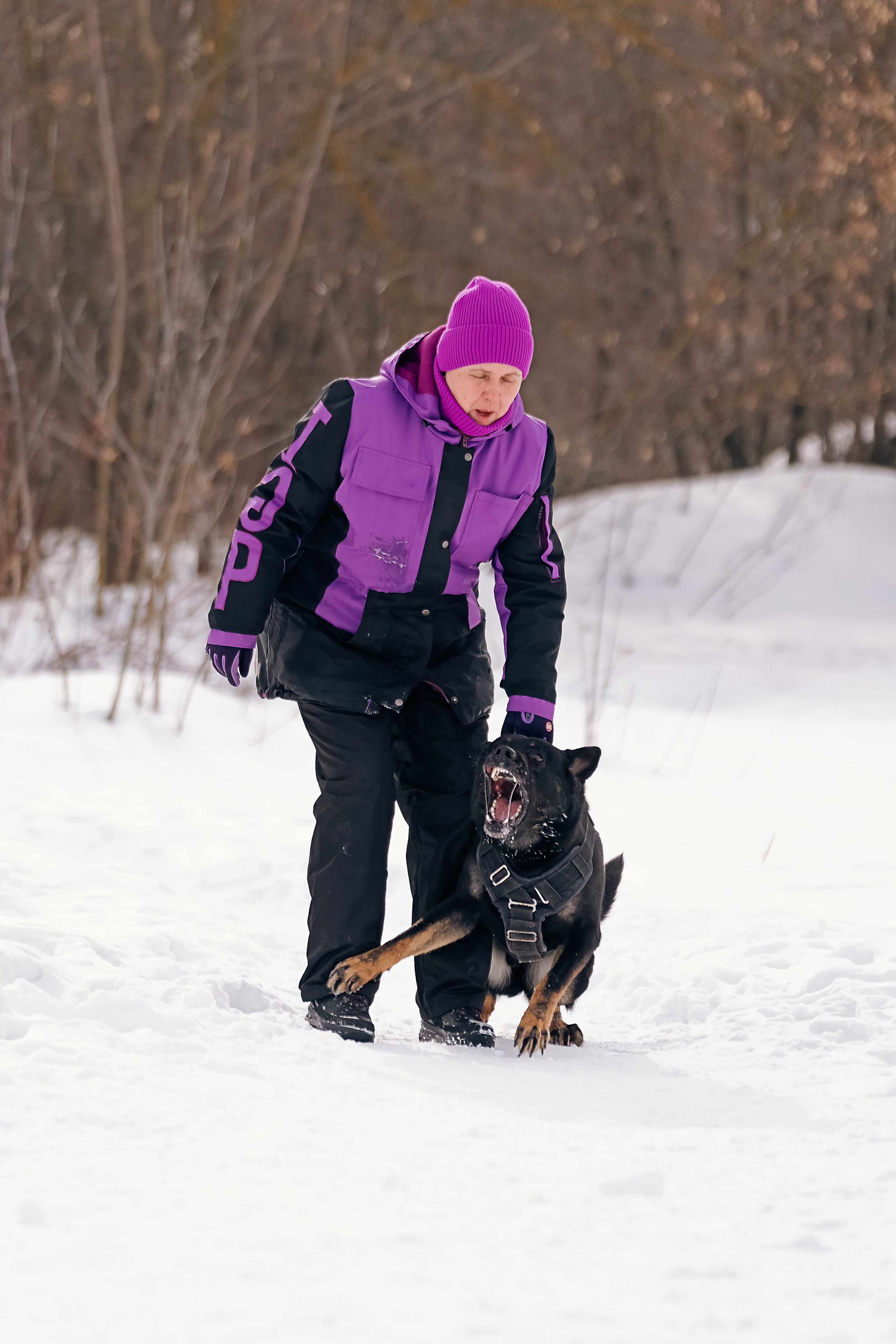 Репортажная съемка. Фотограф-анималист Нижний Новгород
