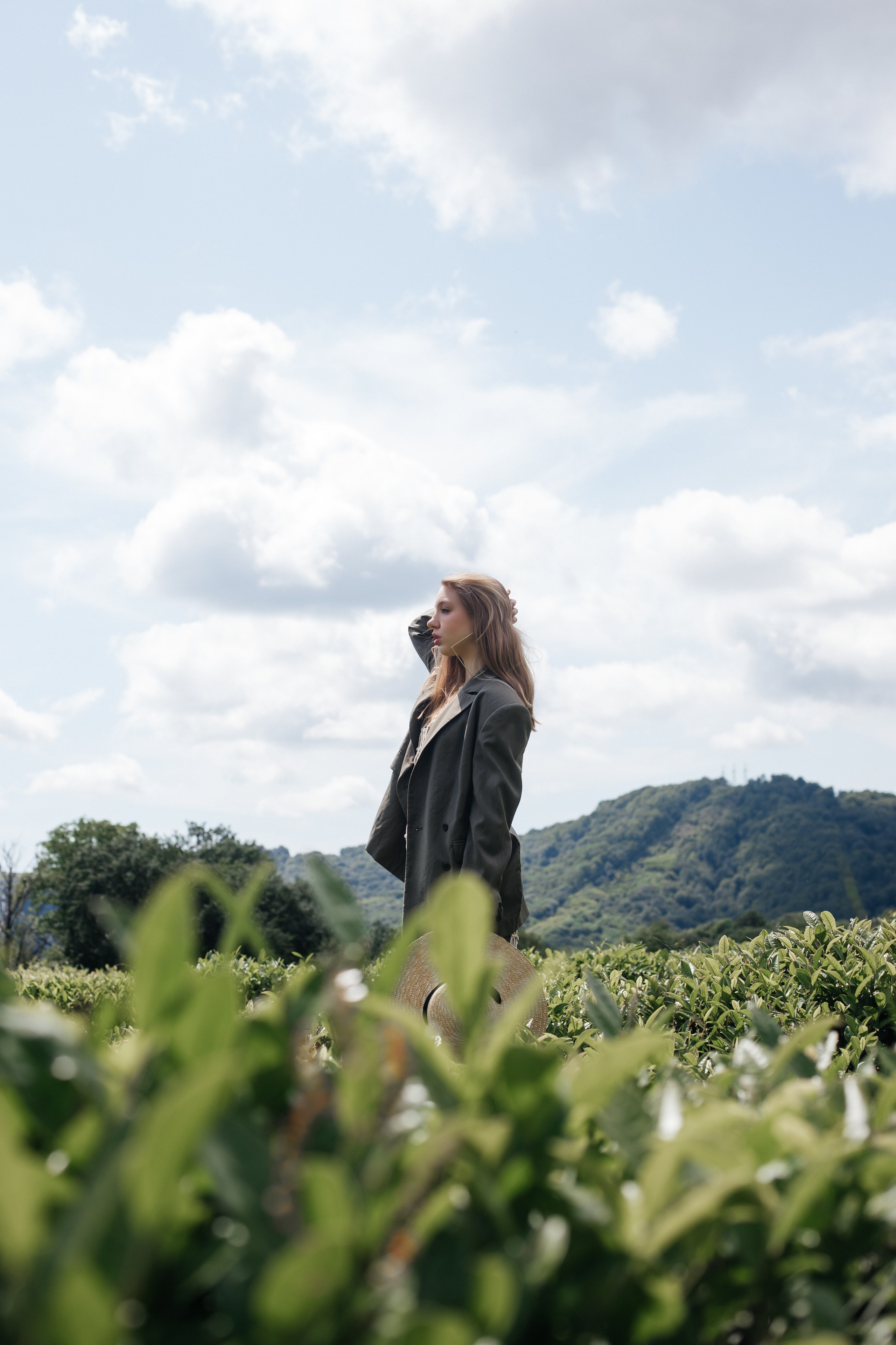 Tea plantation. Efimova Model Agency