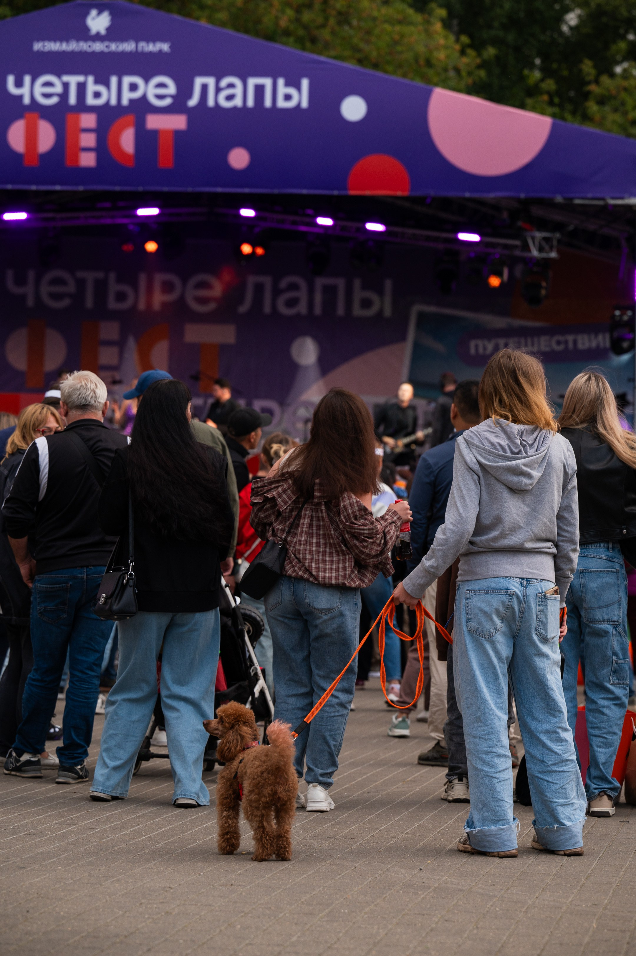 4lapy fest 2025. Photographer in Moscow Anna Chistiakova