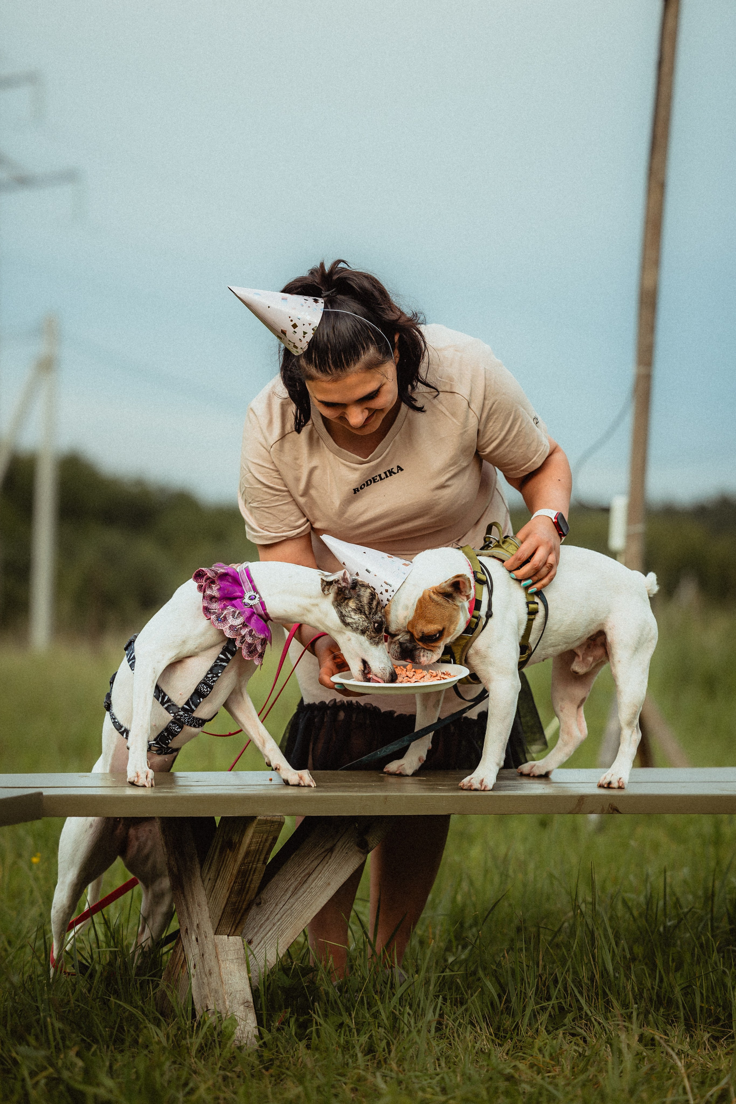Выездной дог-тренинг от школы «Шерсть имею»