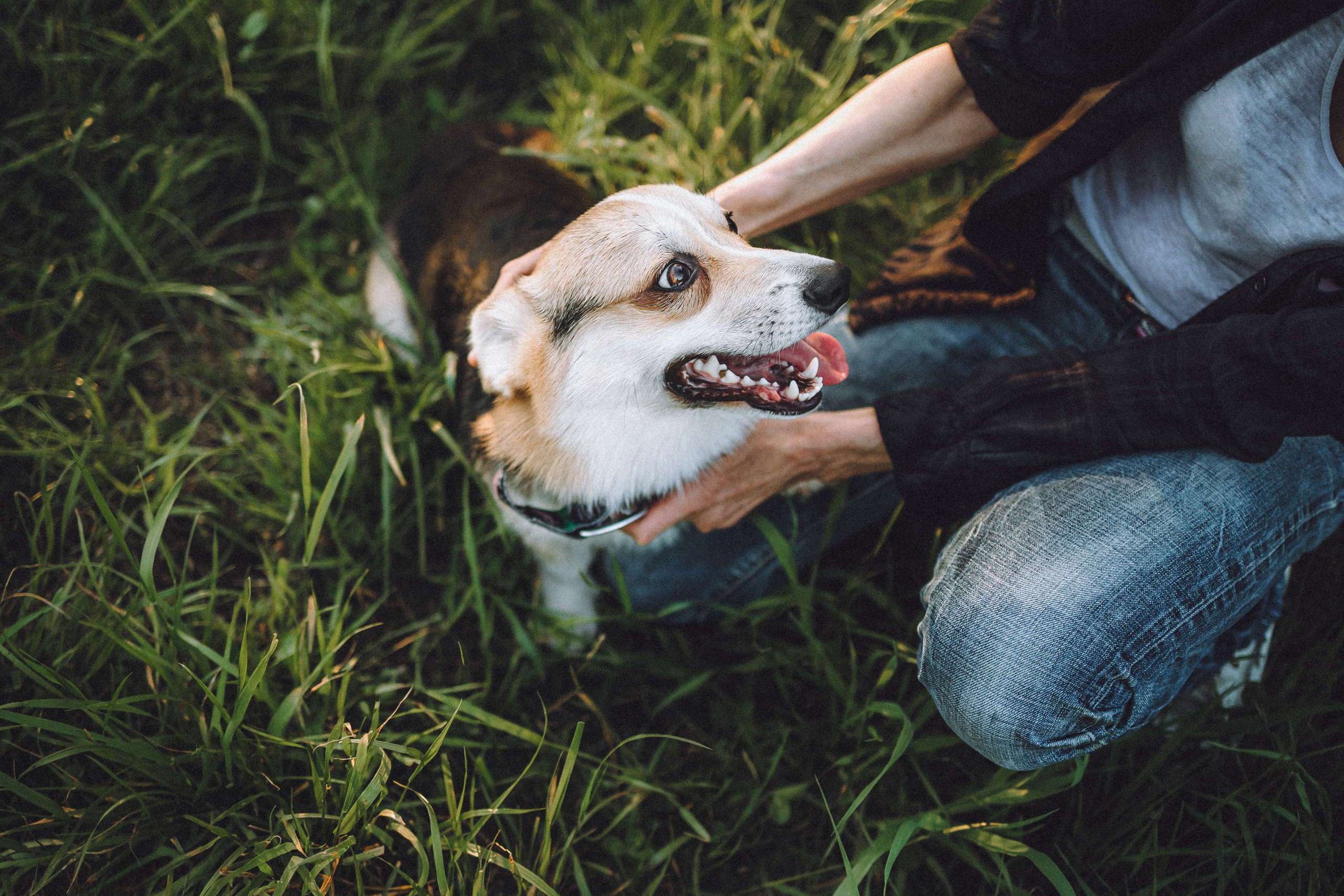 Илай, Зайка и их семья