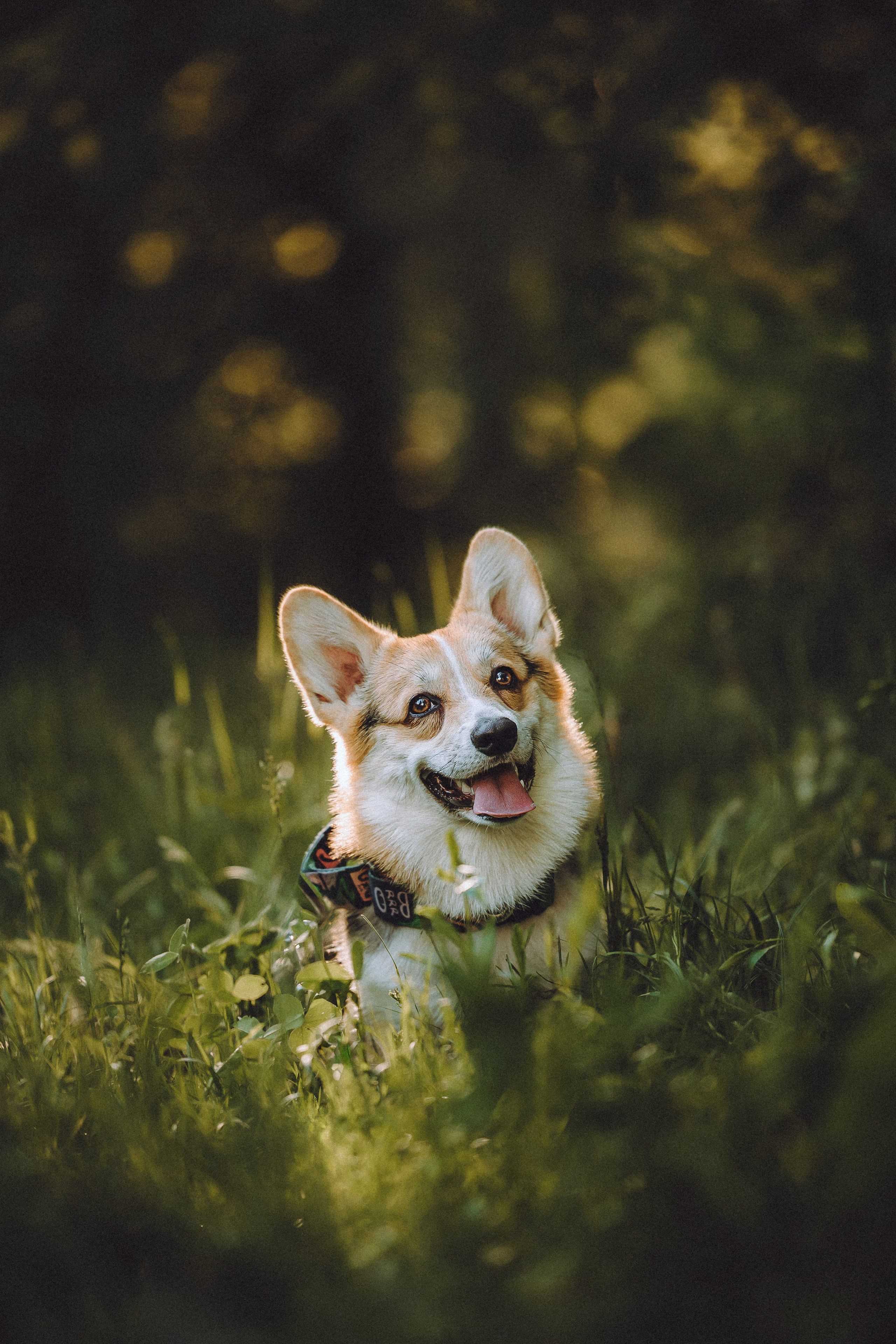 Илай, Зайка и их семья