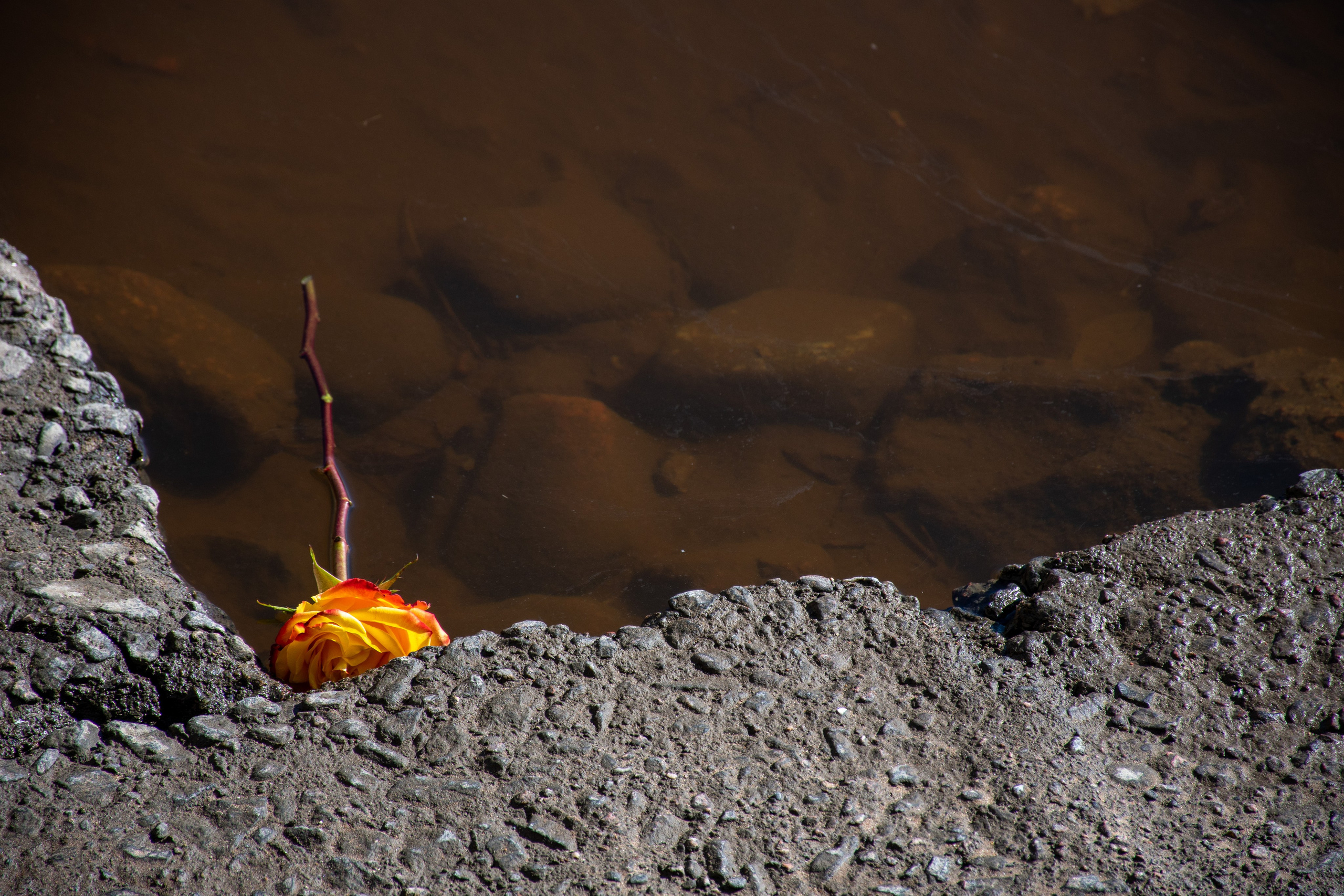 20220411-16 Санкт-Петербург. Дмитрий Ремизов. Фотография, как хобби