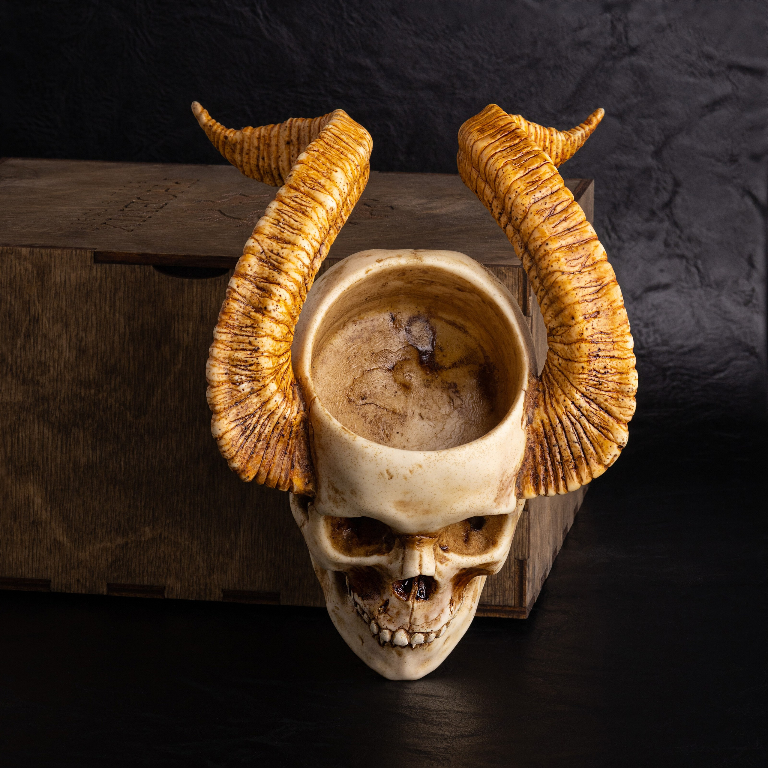 Кашпо в виде черепа с рогами на черном | Имиджевое фото для бренда