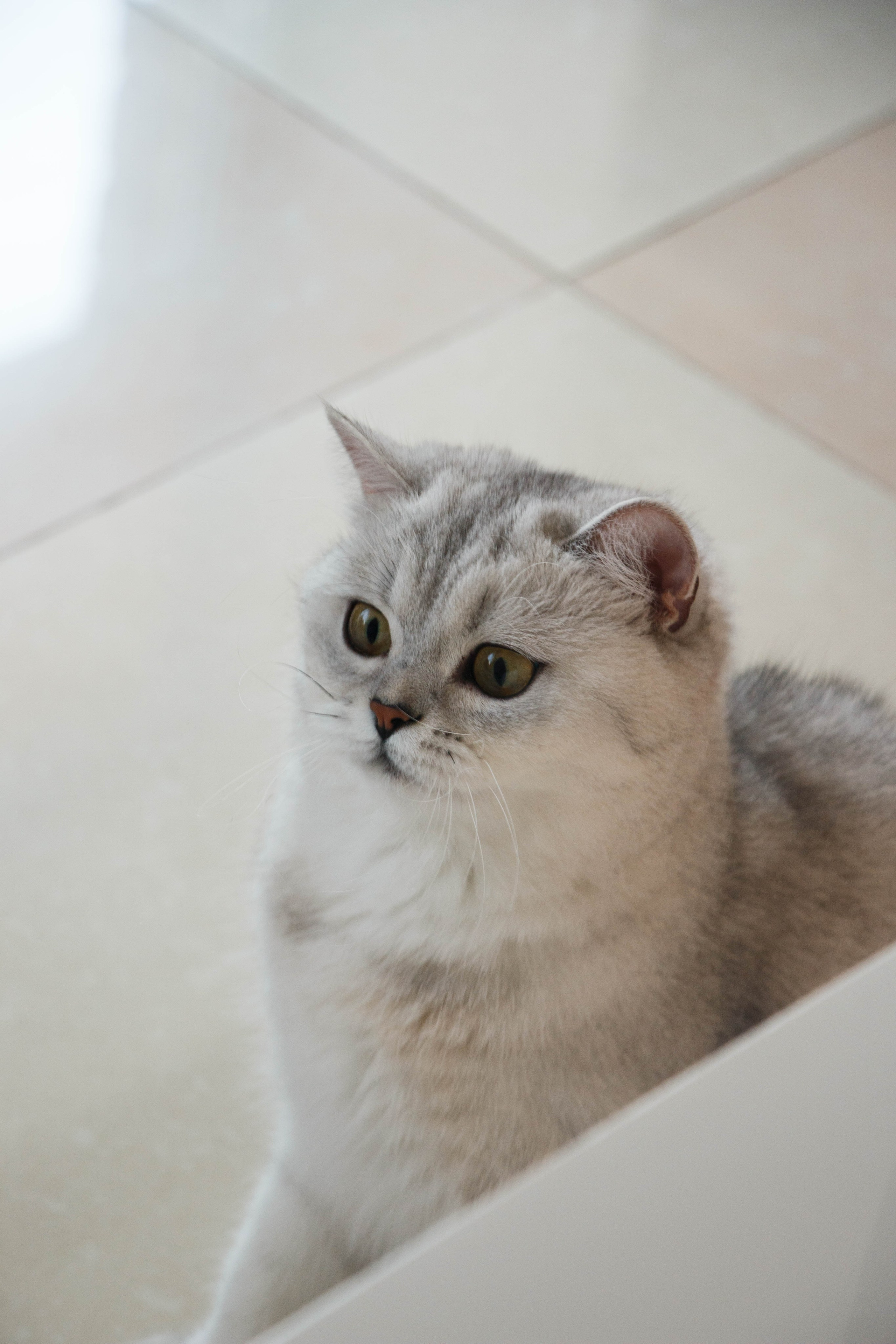 NASTYA & KITTI. Бережно сохраняю ваши чувства и истории на своих фотографиях