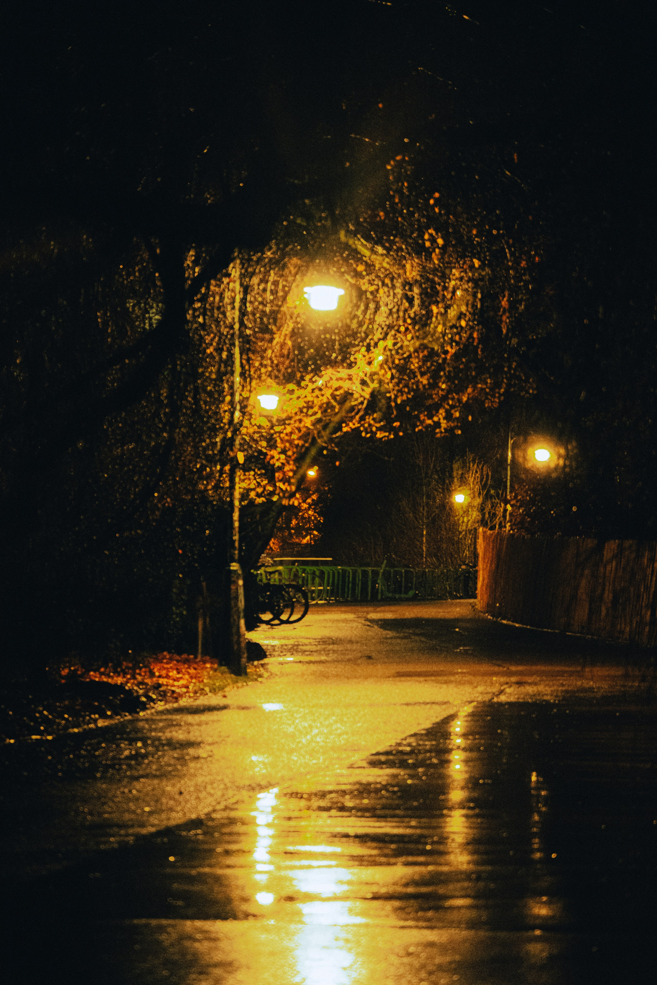 Street. Elena Harlaut Photographer