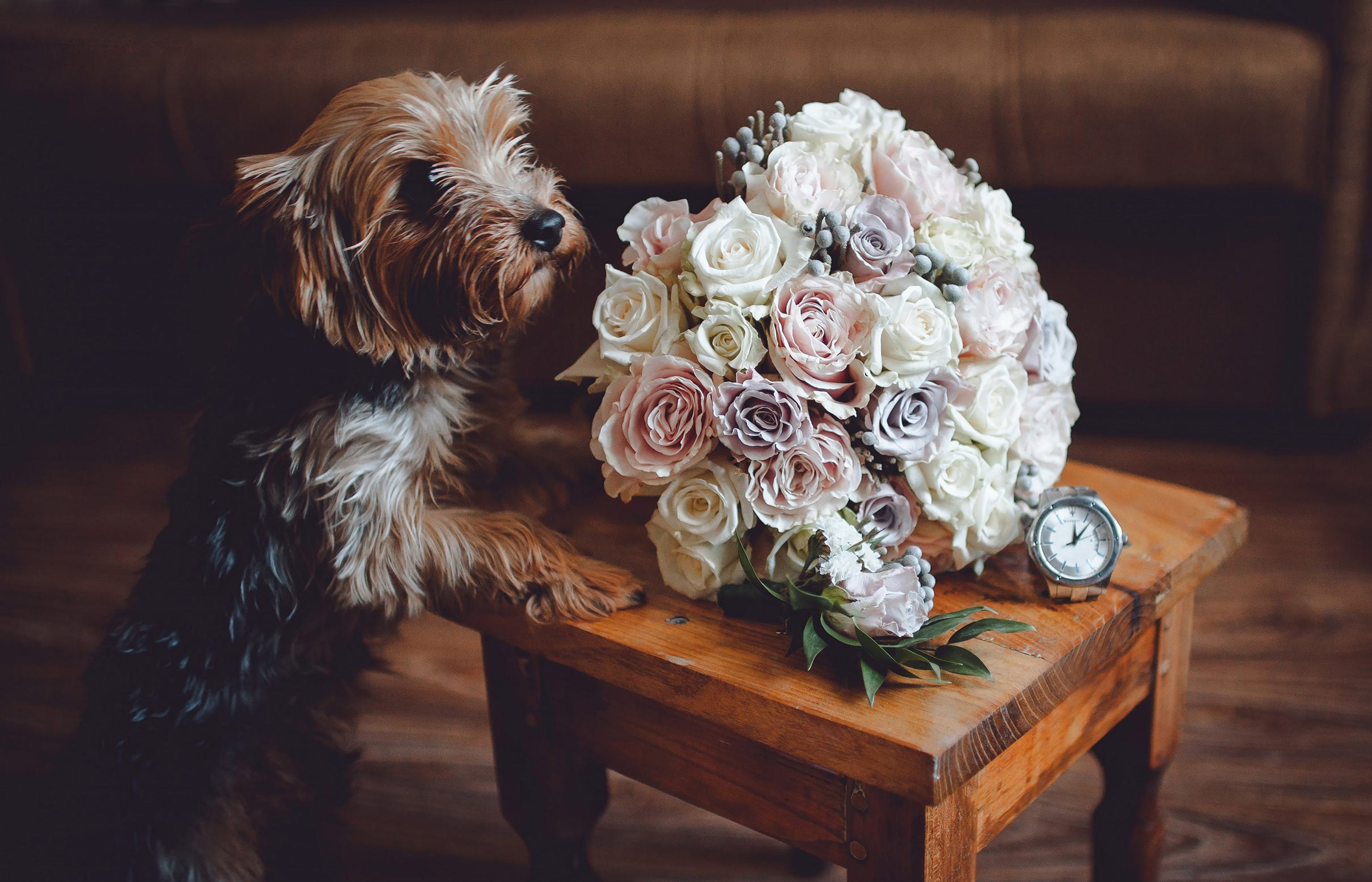 Александр Визит — Профессиональный фотограф, город Москва