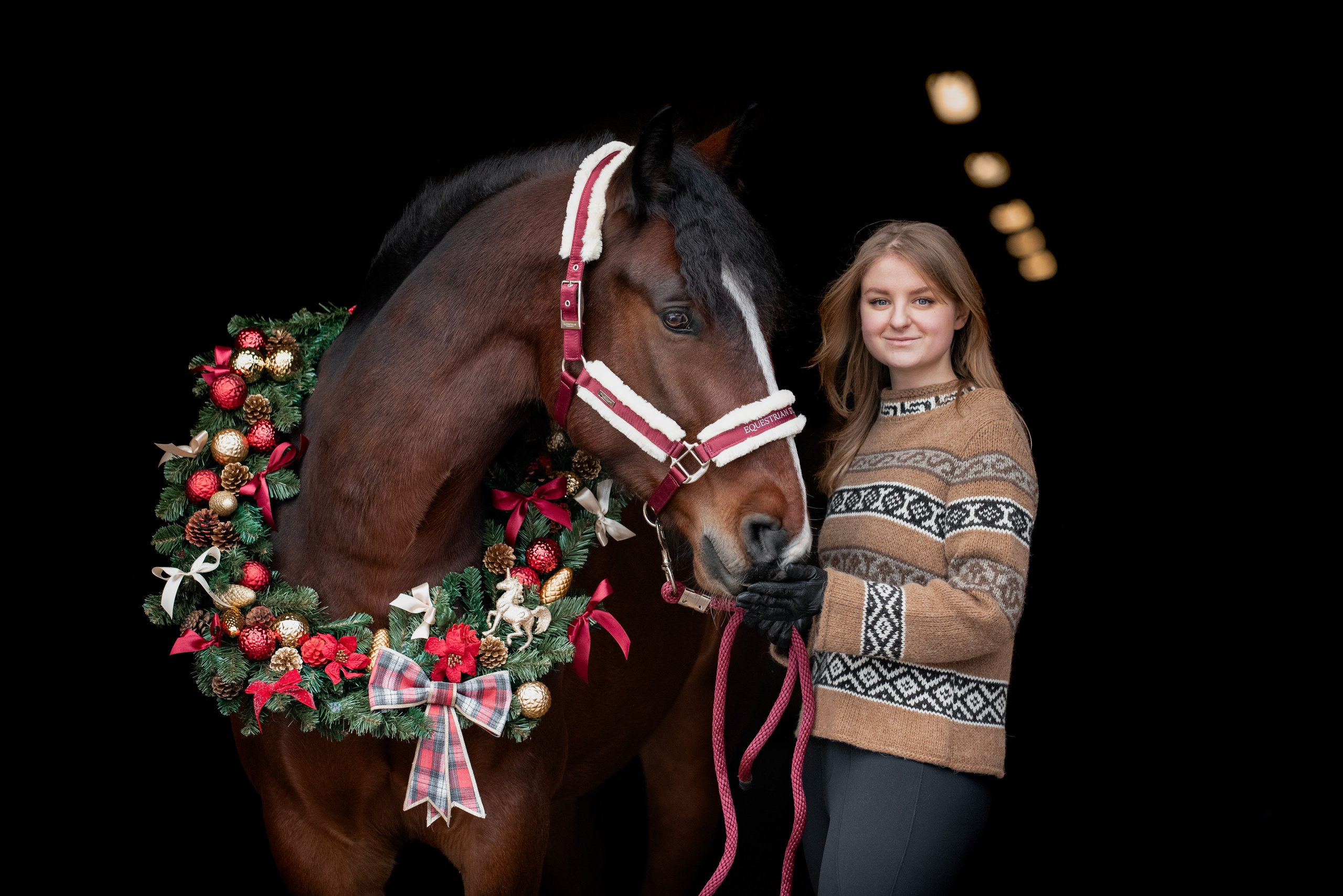 Зимний Настасьин табун. Куракина Дарья • Конный фотограф