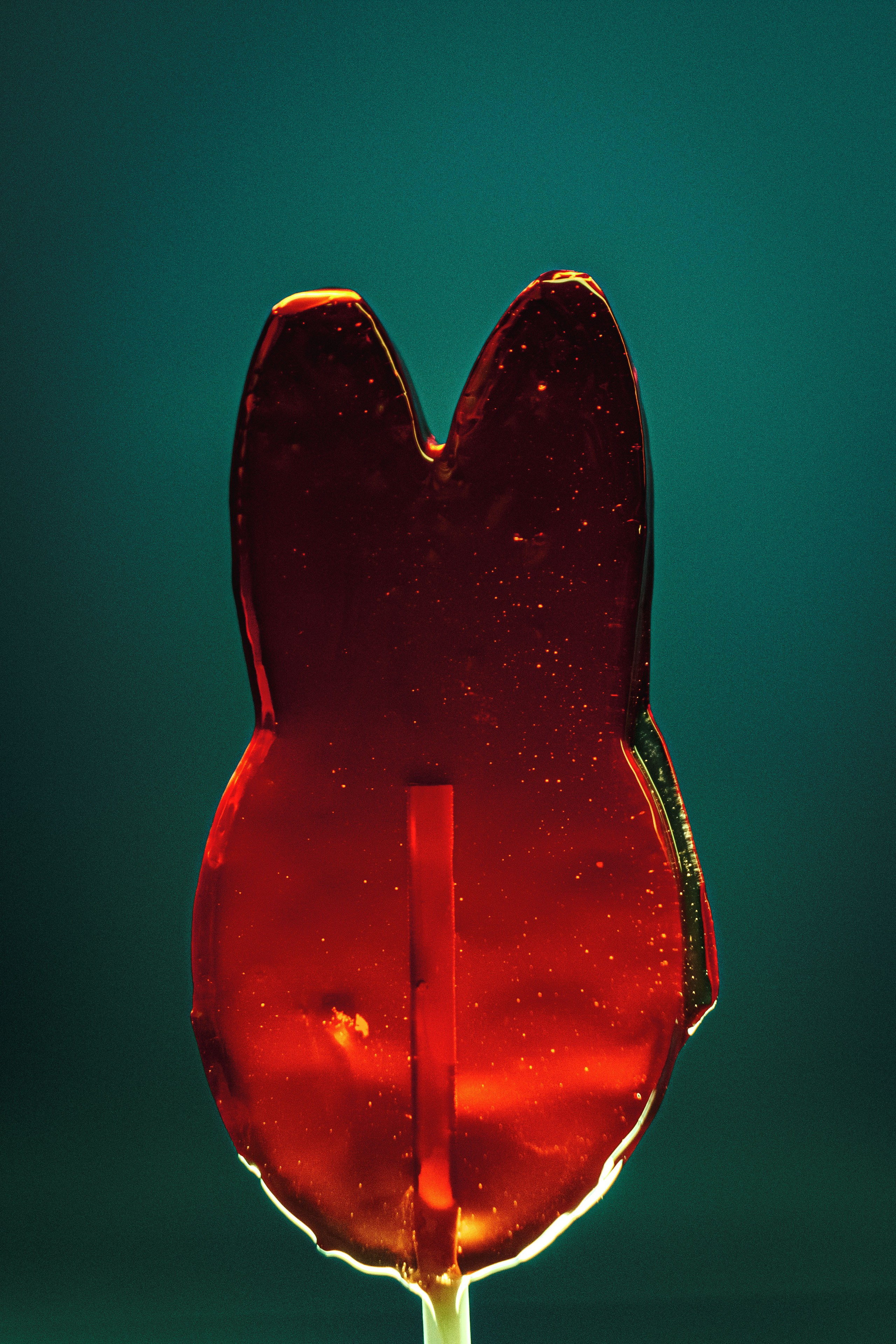 STILL LIFE. Photographer Zoya Smirnova