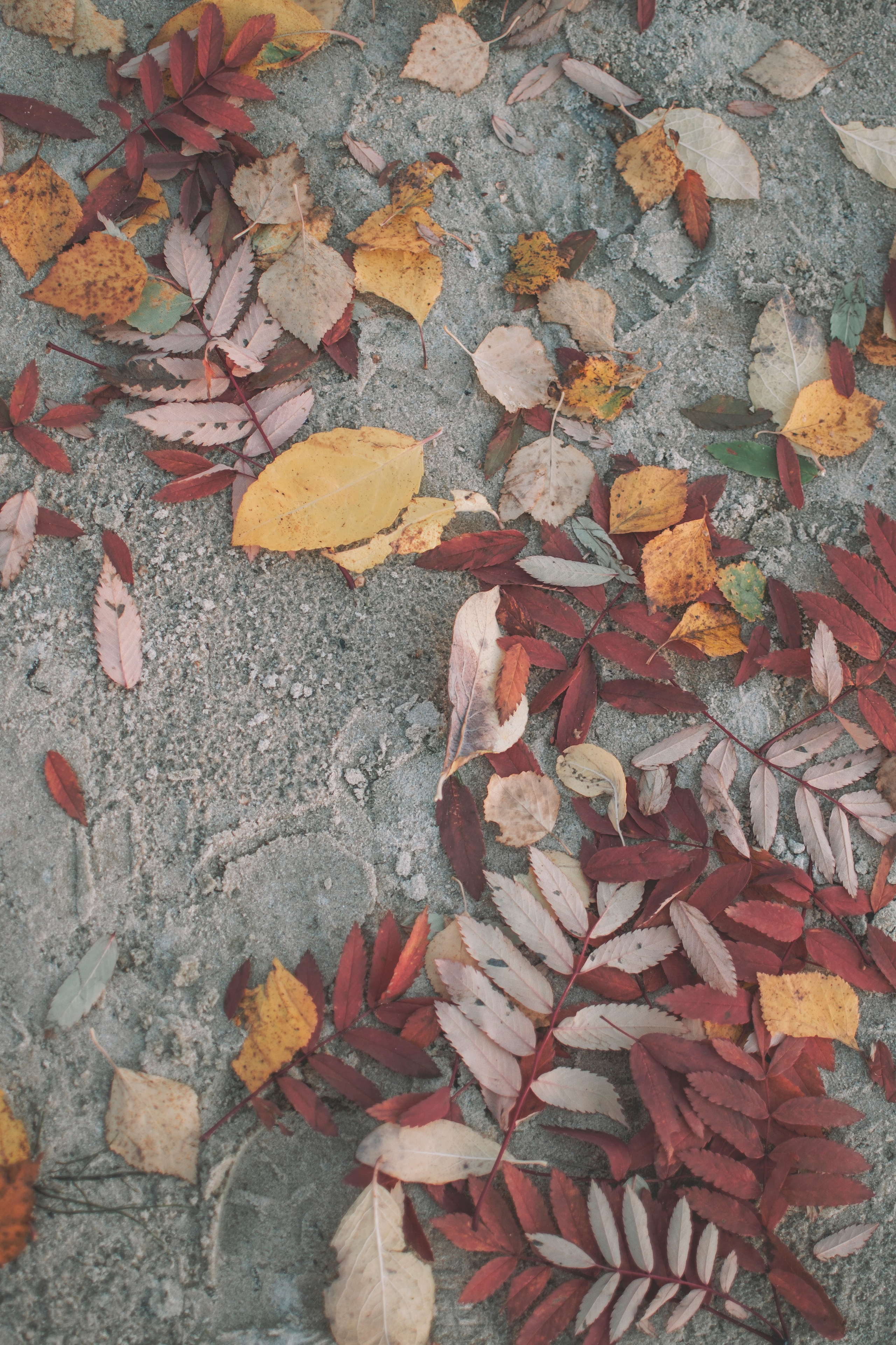 «Любовь живет тут…». Семейный и свадебный фотограф Губкинский и Ставрополь