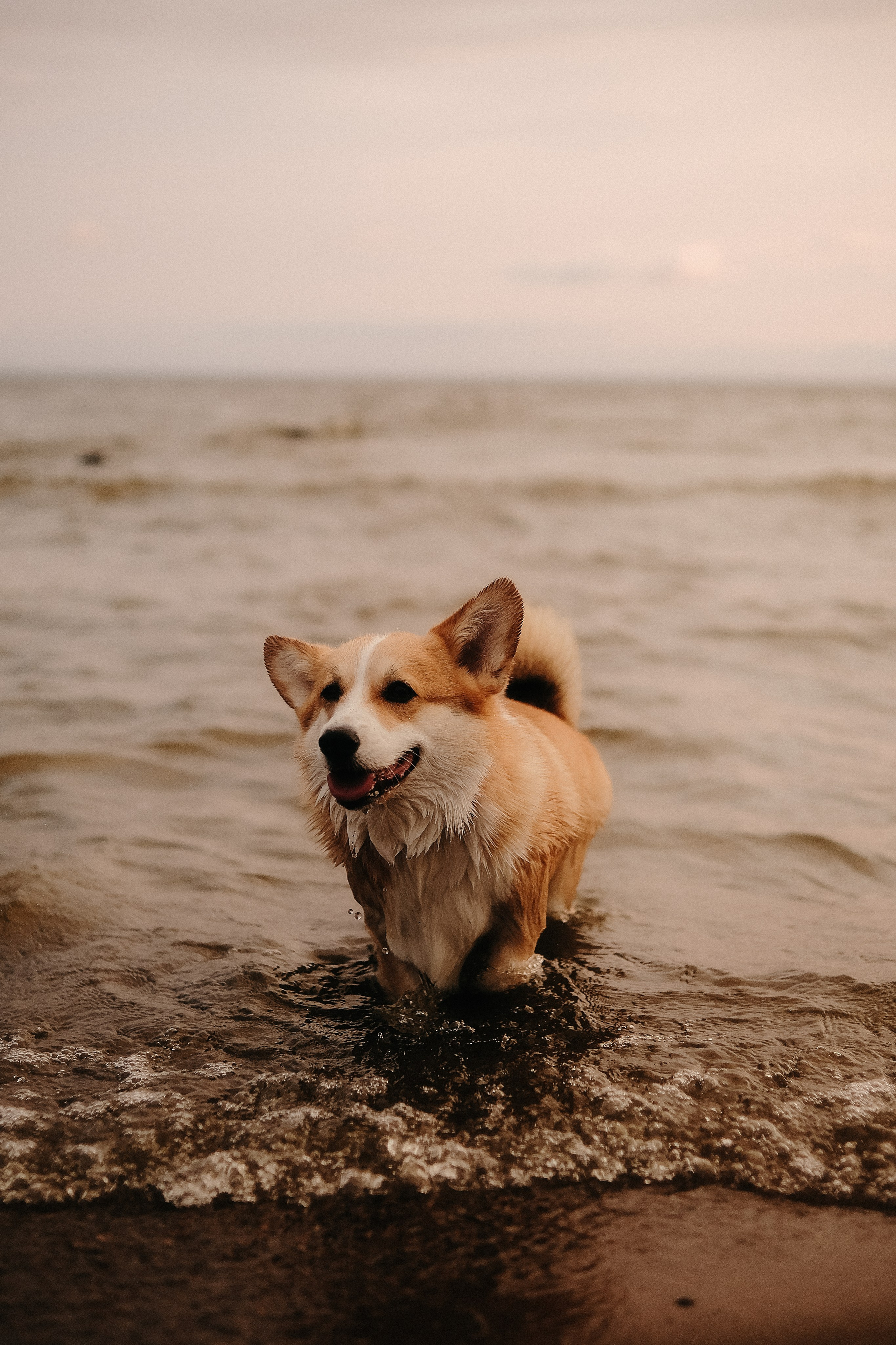 Вика & Никита. Phdkvmr.ru