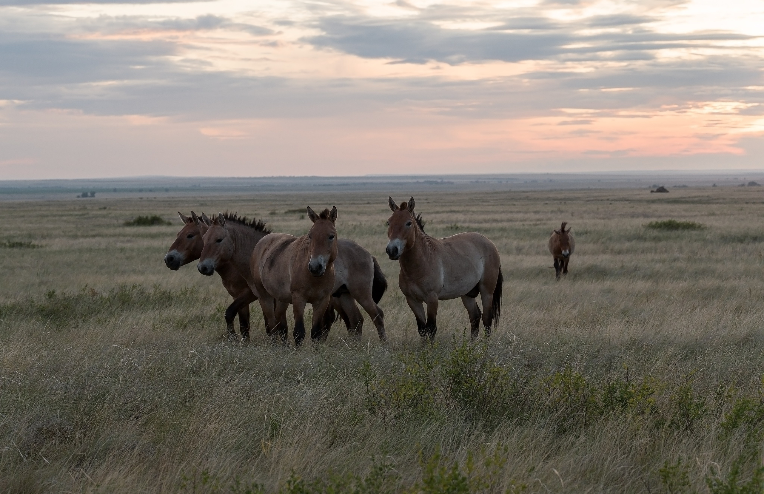 В природе. Портретный фотограф в Челябинске Катерина Руди