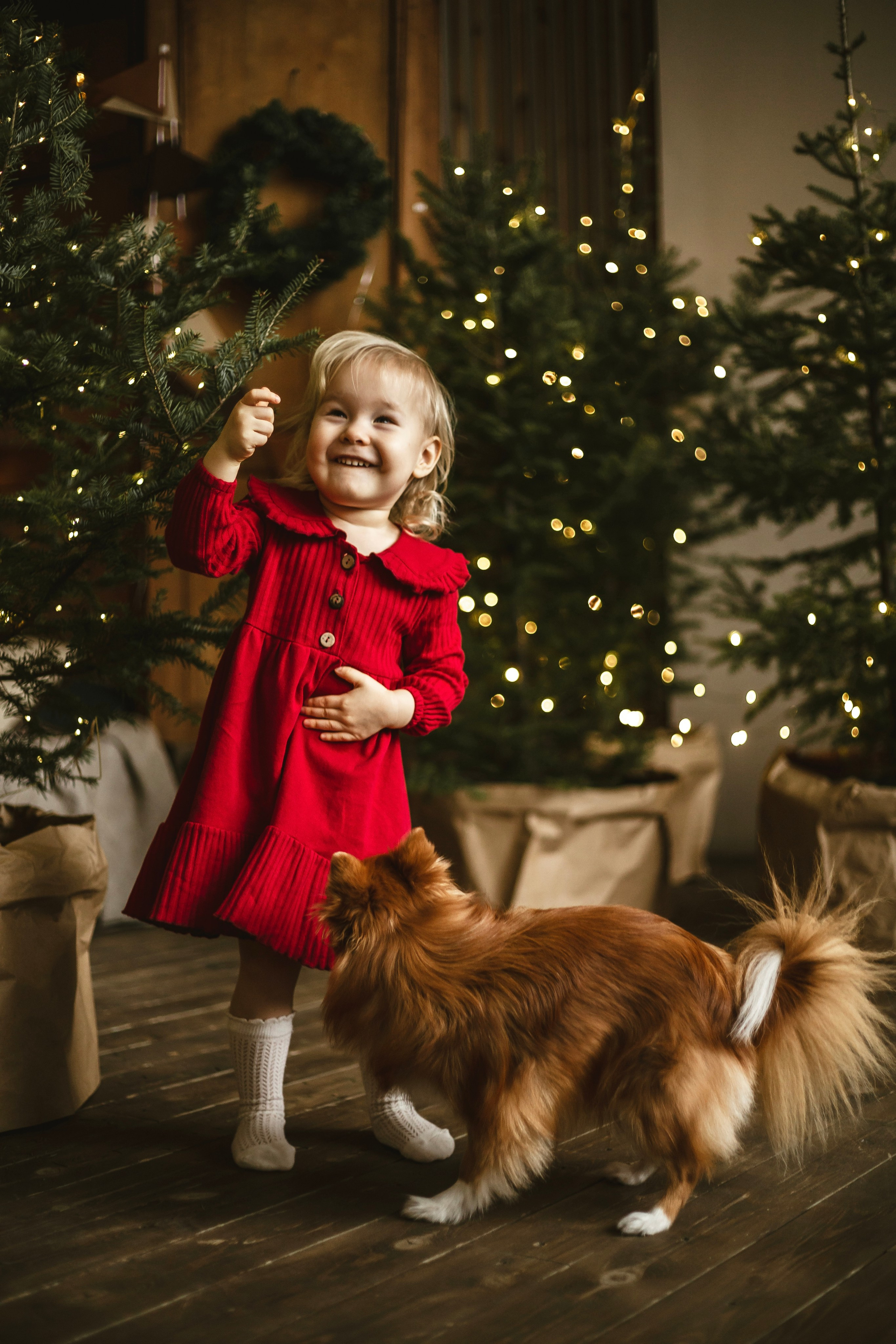 Семейная/Новогодняя съемка. Фотограф Ксения Белая