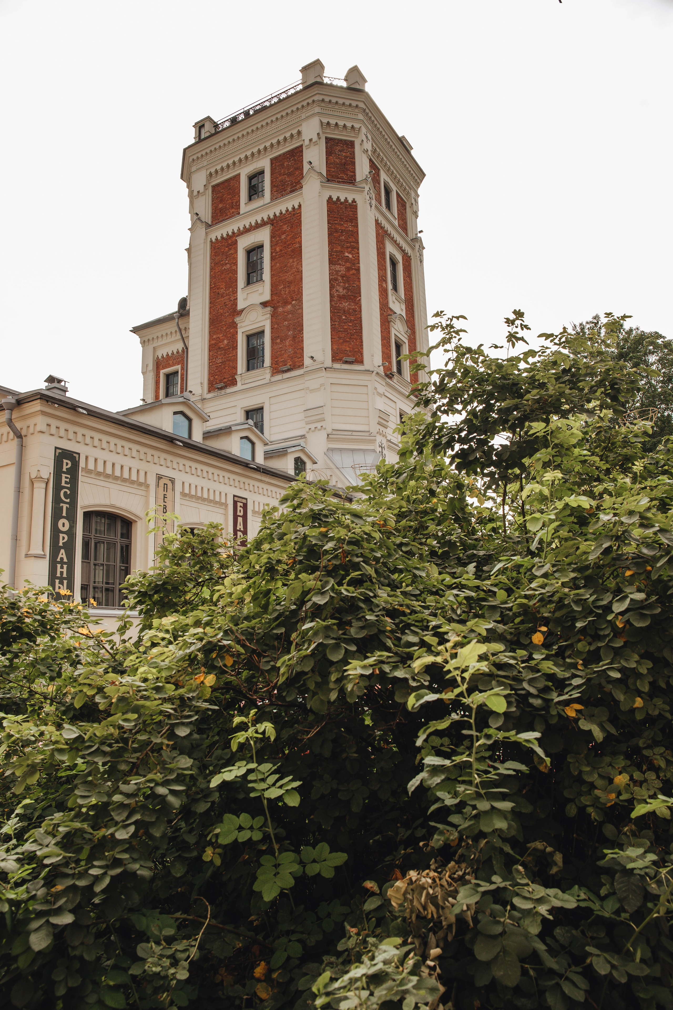 Люба & Женя. День для двоих. Свадебный и семейный фотограф Пушкин Царское Село СПБ Питер Санкт-Петербург и Рязань Ольга Козлова