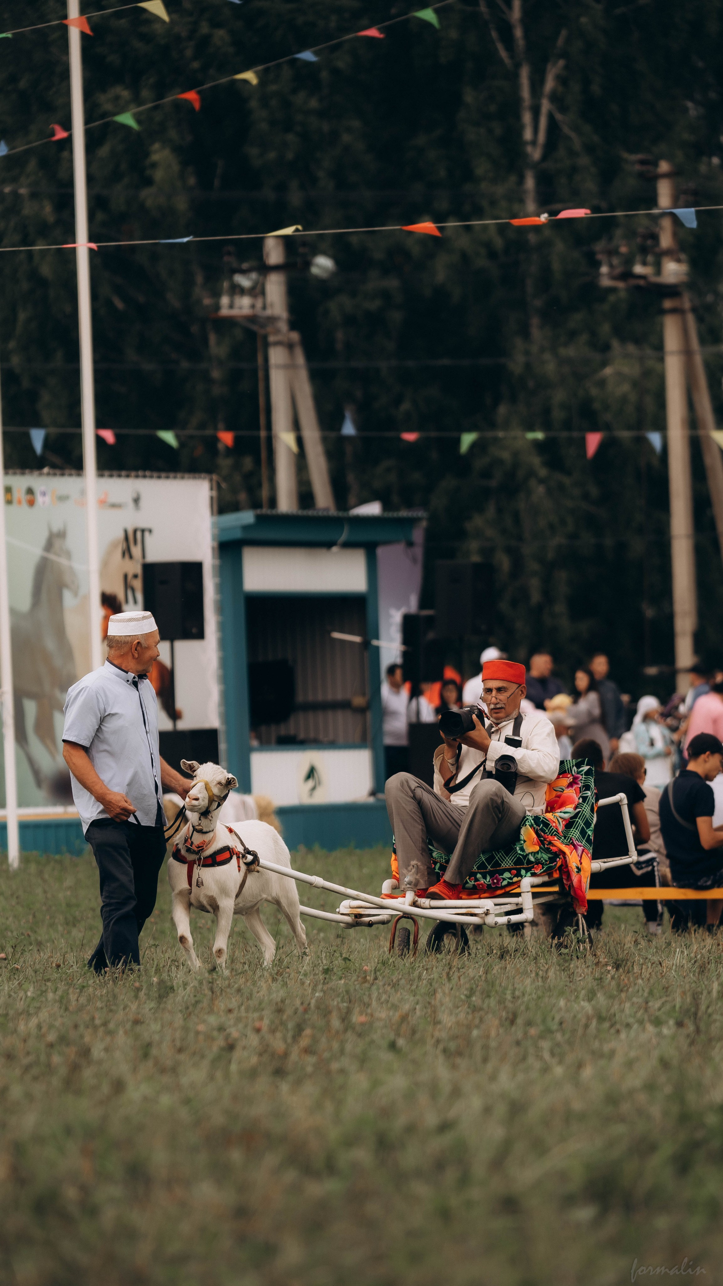 День Коня. Алиса Никитцова | Фотограф в Казани