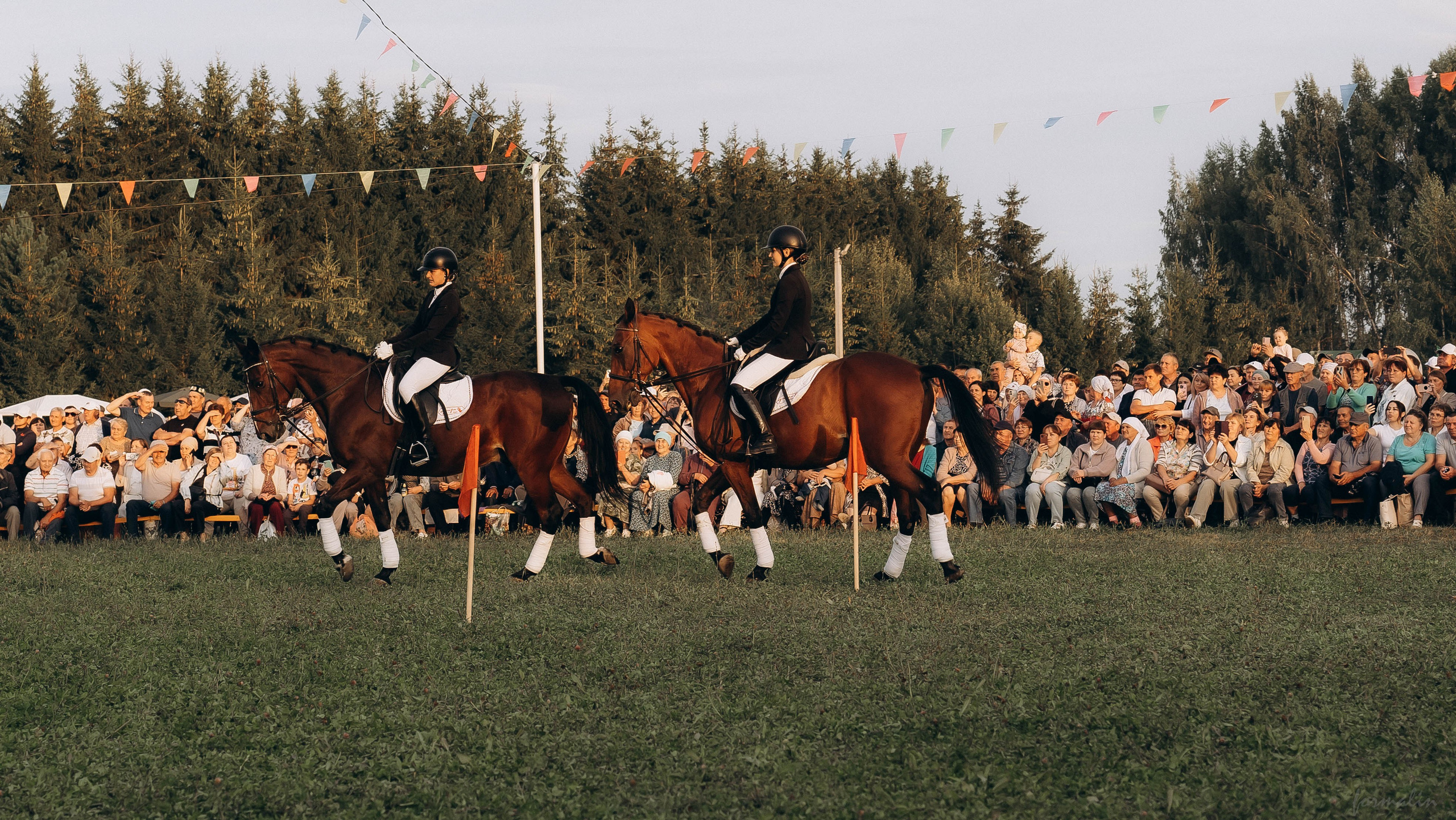 День Коня. Алиса Никитцова | Фотограф в Казани