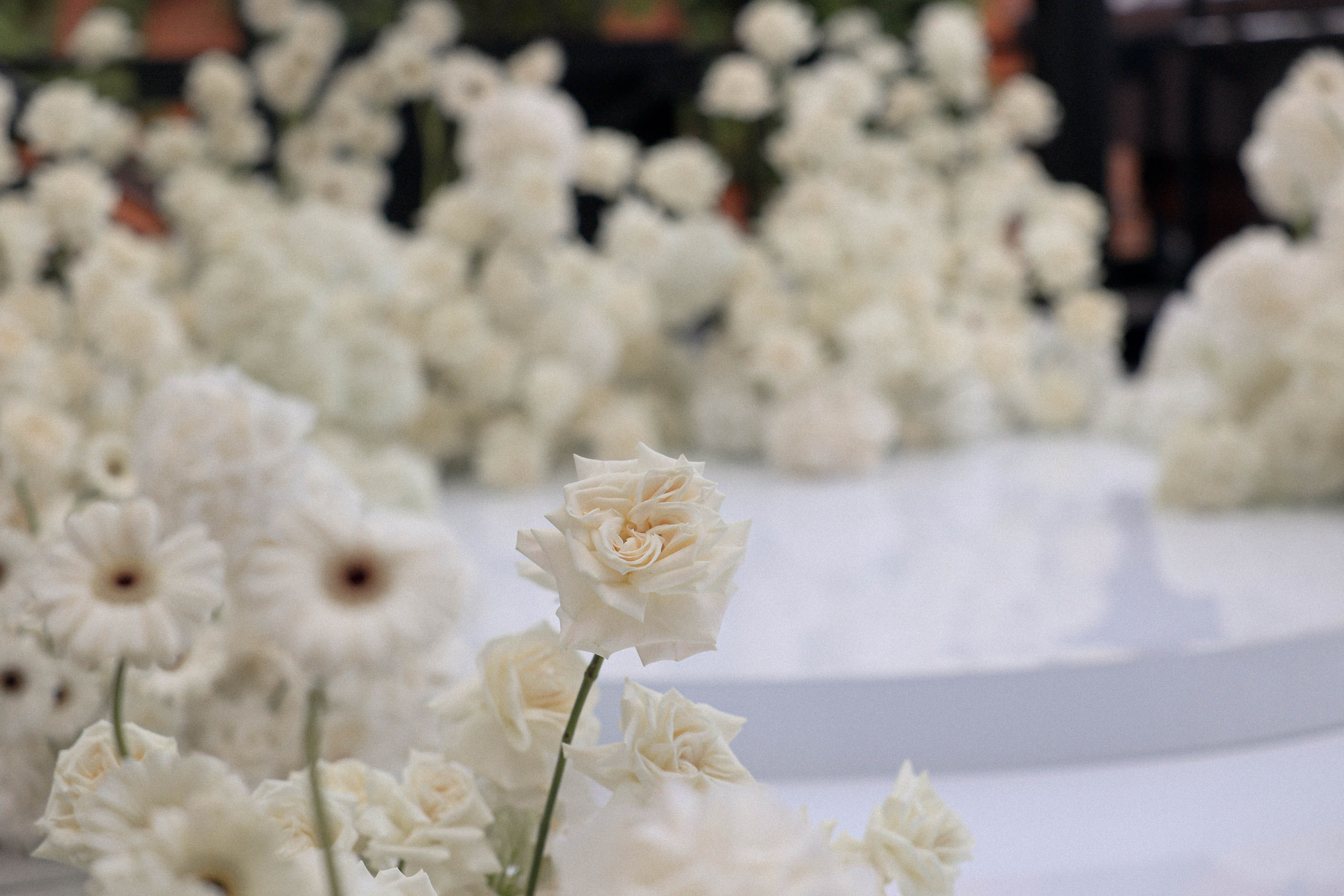 Свадьба Эльчин и Ксюша. Свадебный, репортажный, фотограф Москва и Московская область