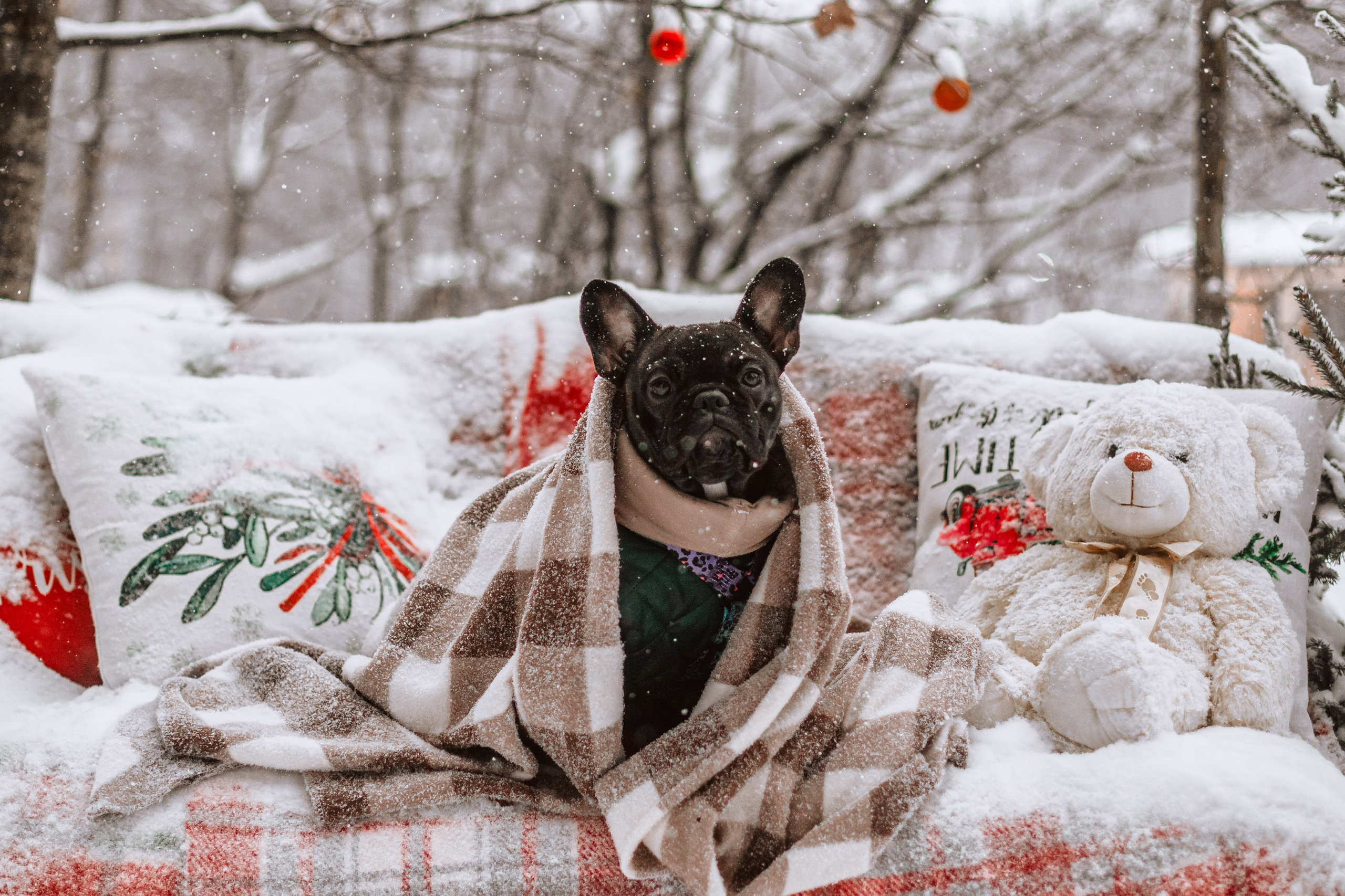 Кантри Хаус. Фотограф-анималист Татьяна Степанова