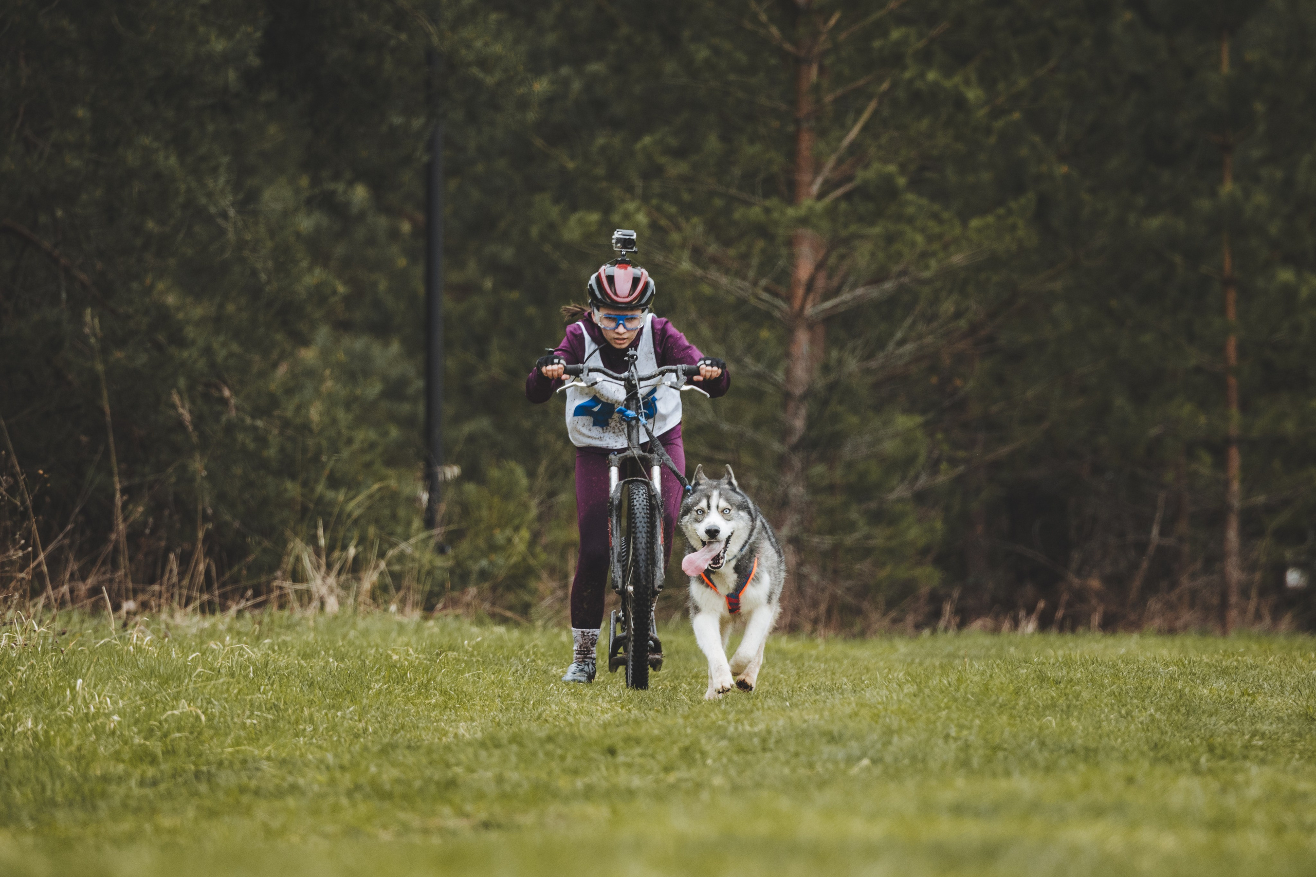 Почёвинский драйдленд. Фотограф Ирина Астор